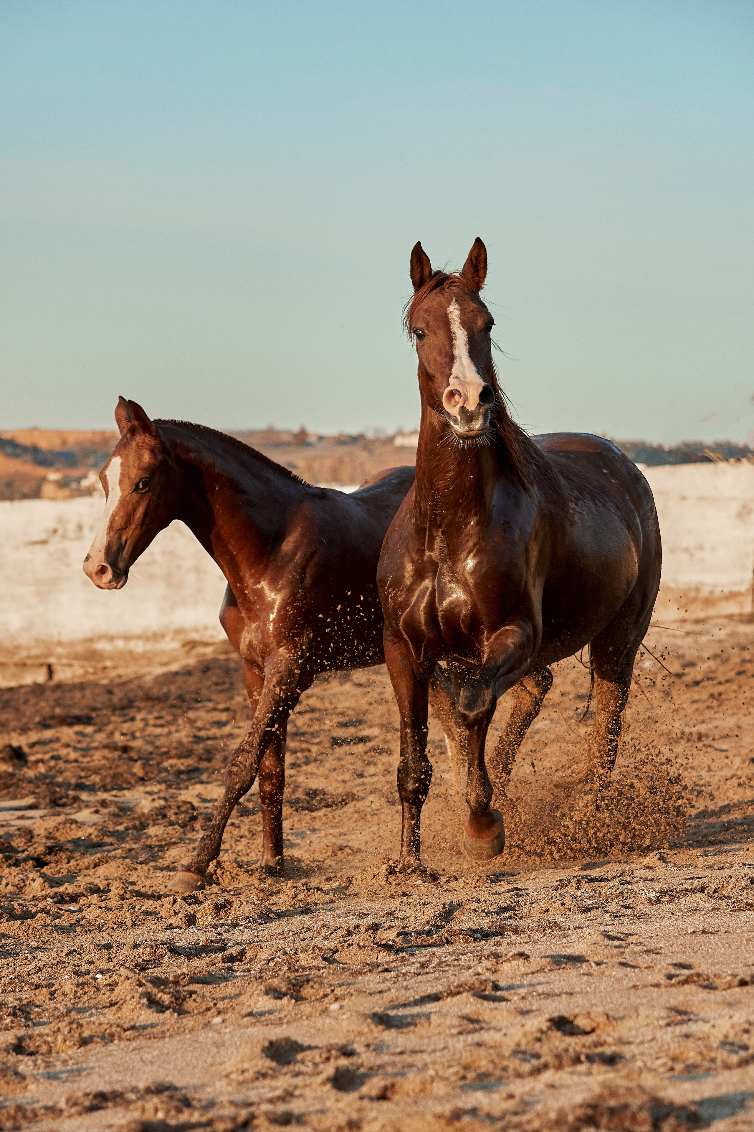Галактика и Кассиопея. Фотограф в Севастополе