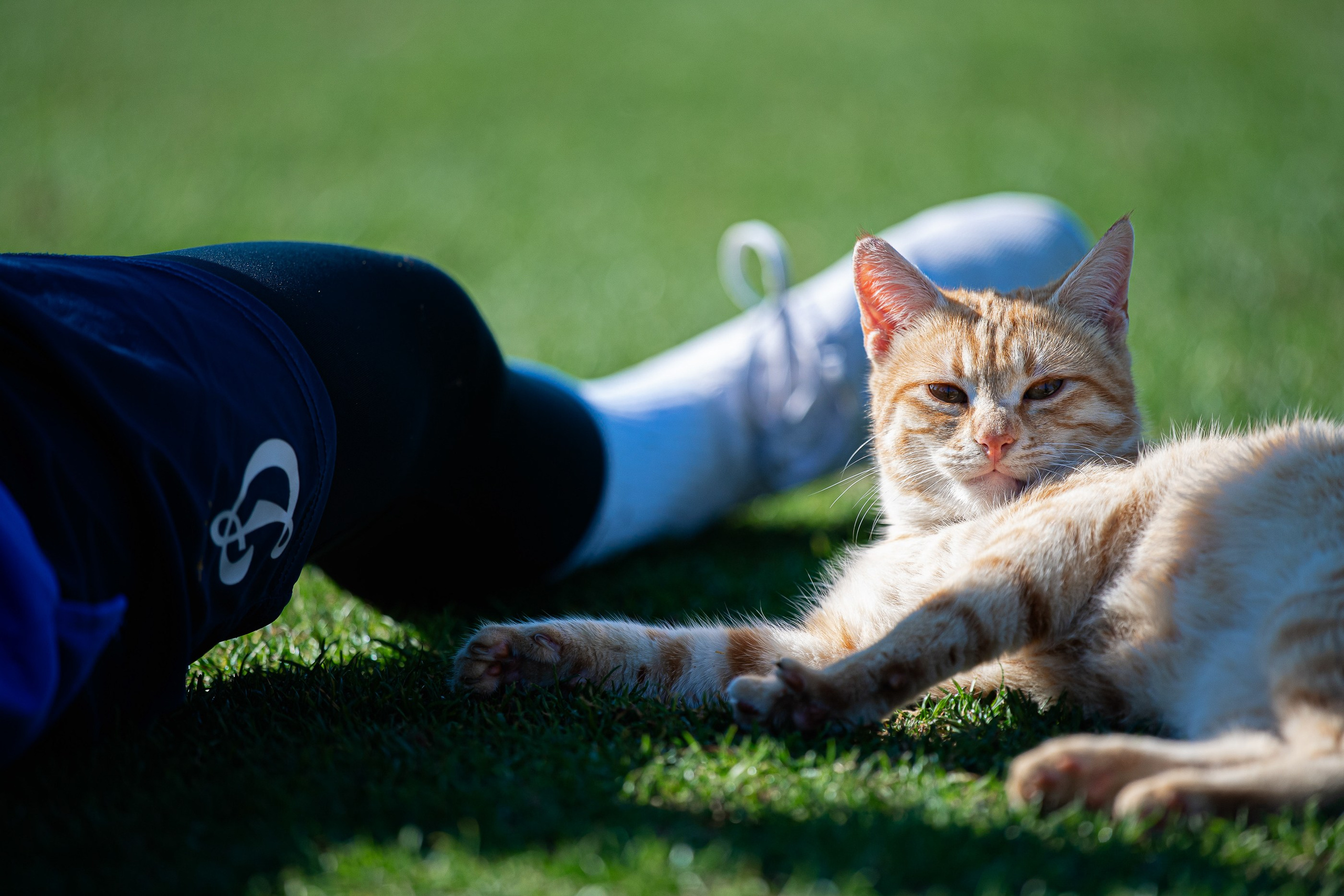 Dynamo women’s team training camp in Turkey, 2024. Фотограф Кирилл Сафонов