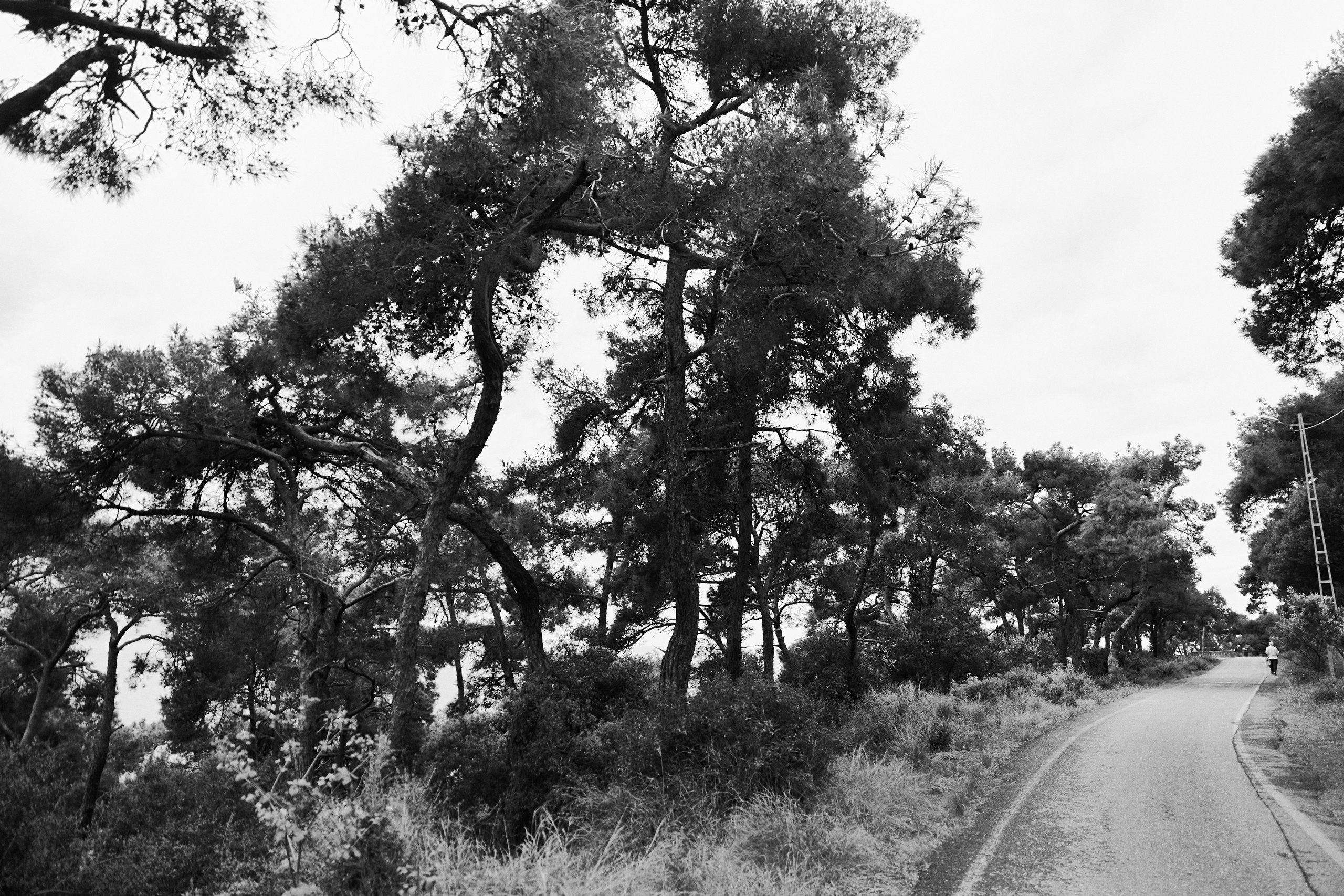 Улица горизонтальная. Jorgis — фотограф в Хургаде / обучение фотографии