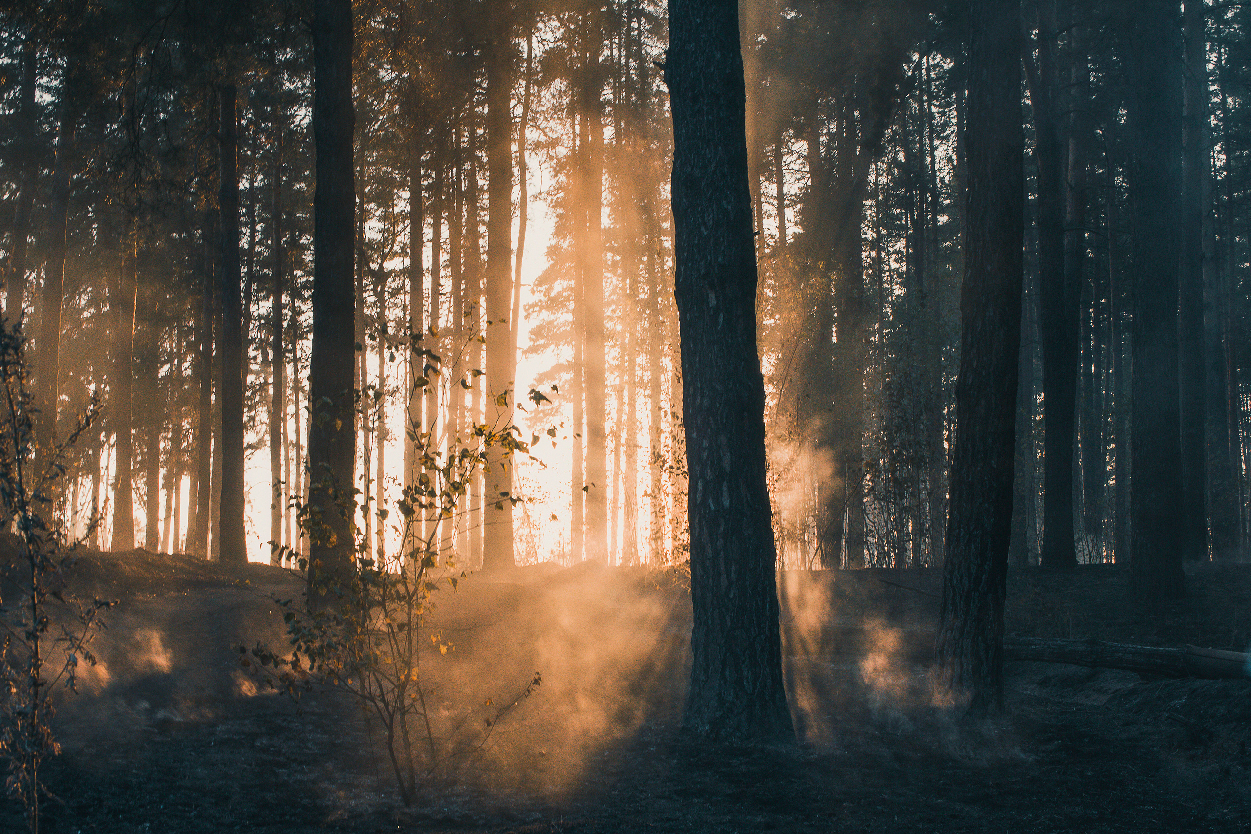 Константин Жуйков | Stifty