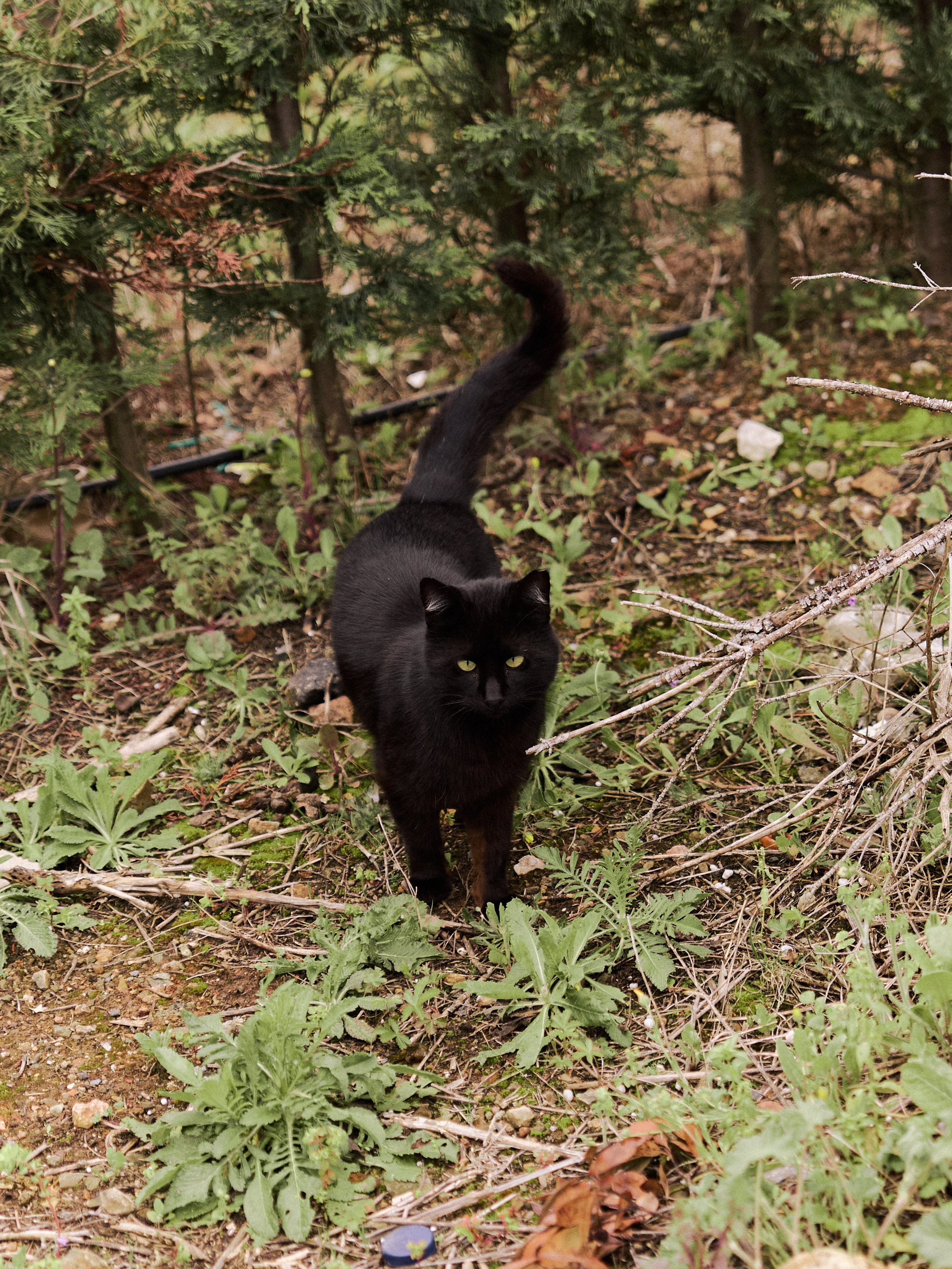 Диптих. Jorgis — фотограф в Хургаде / обучение фотографии