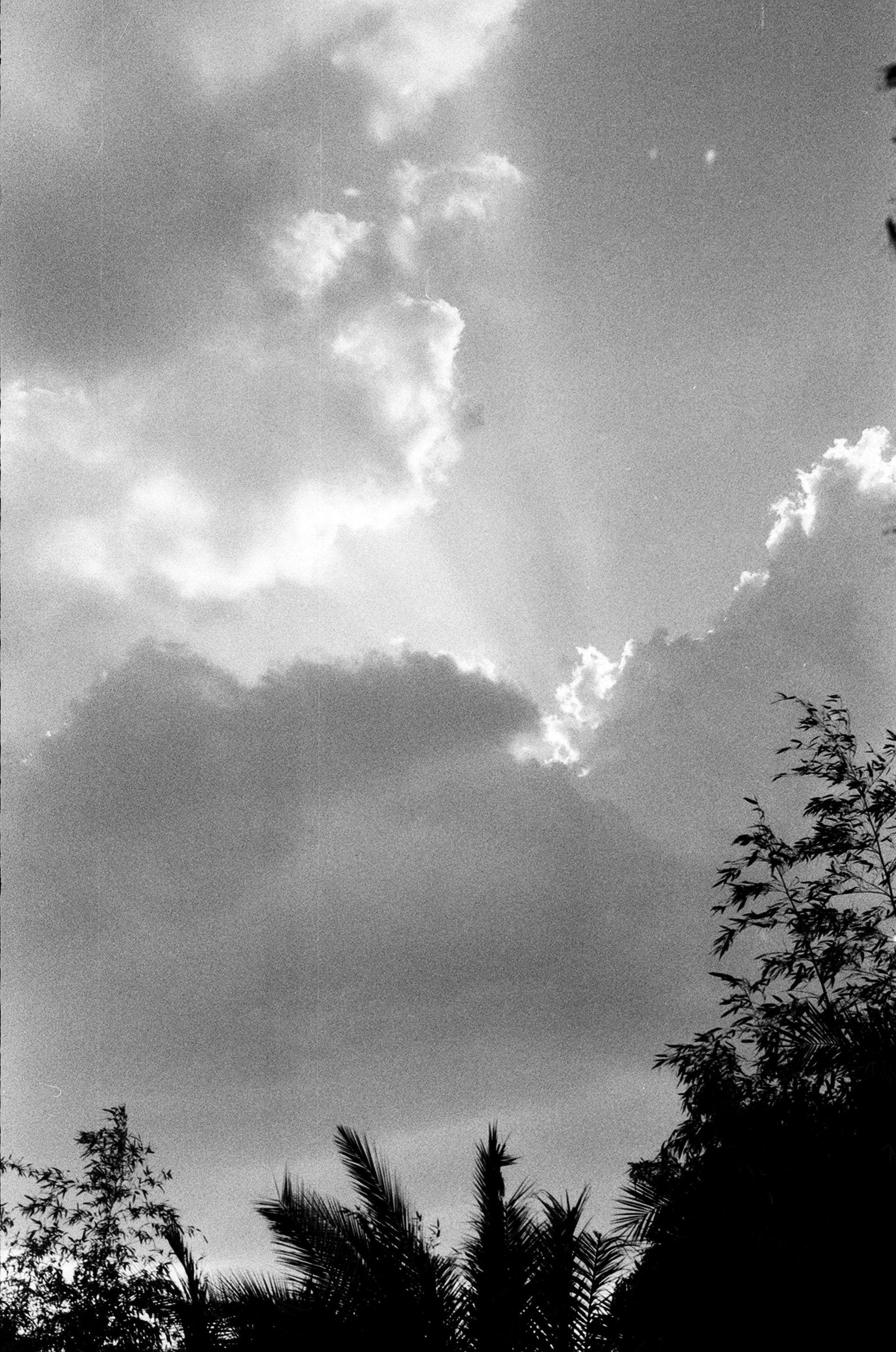 Альбом пленочных ЧБ-фото. Репортажный и семейный фотограф — Шелихов Сергей