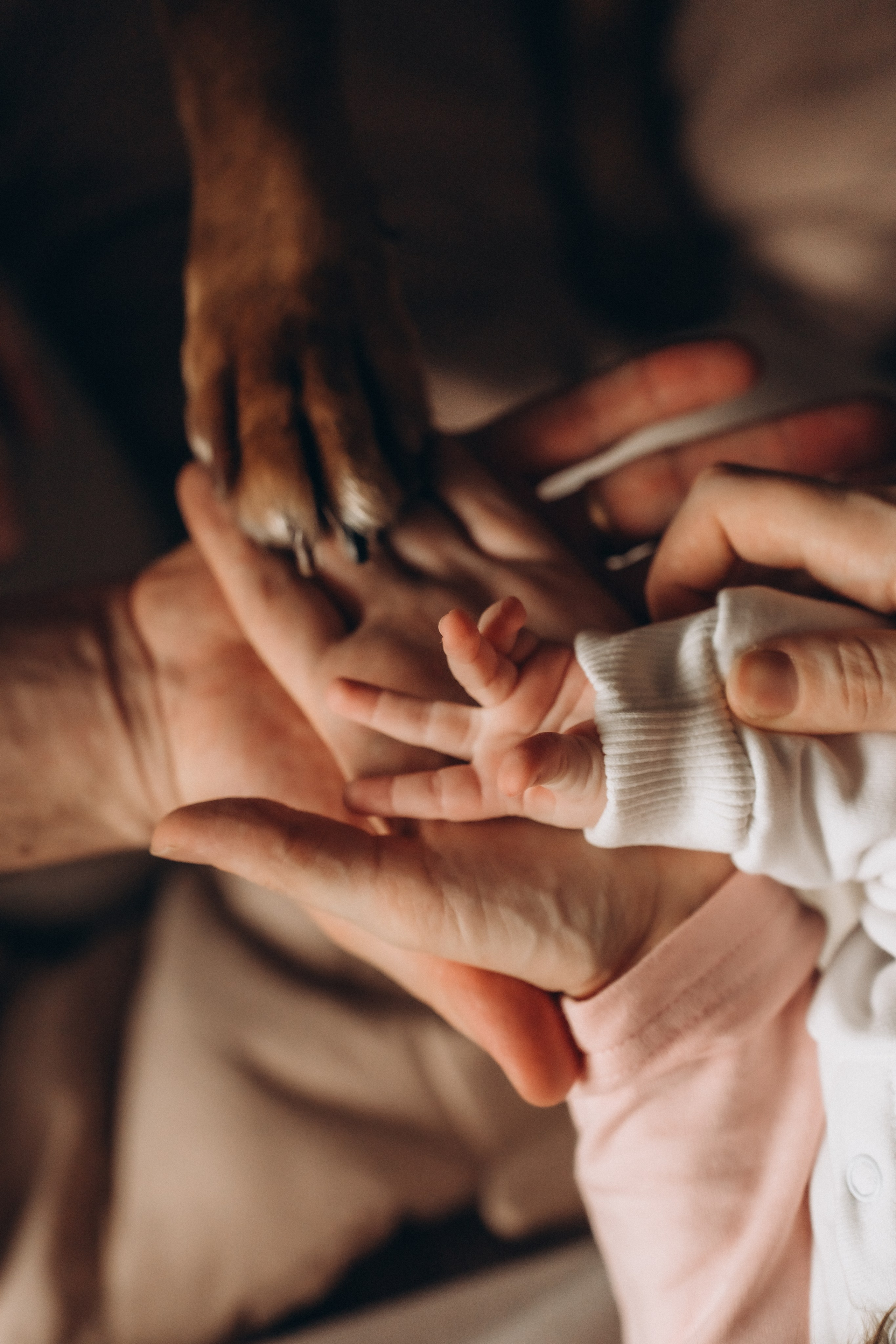 ДОМАШНИЕ СЪЁМКИ. Ситникова Екатерина Семейный фотограф Воскресенск Москва