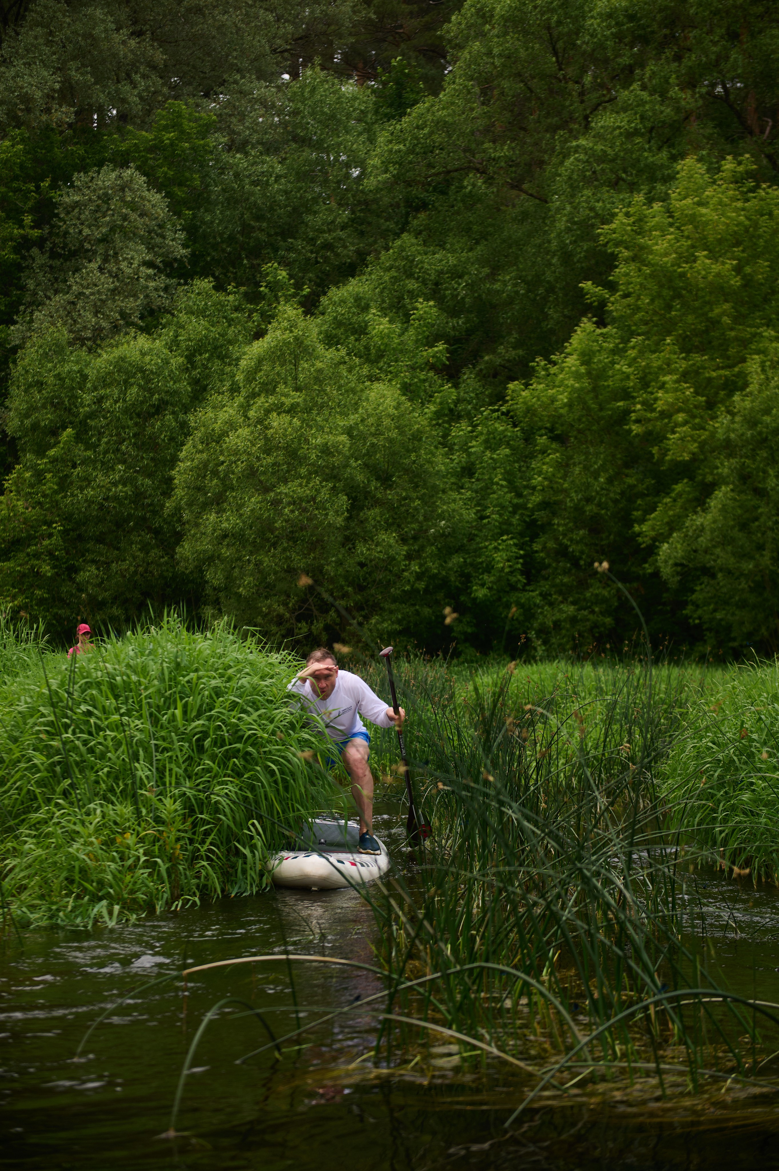 Июнь р. Протва. Главная