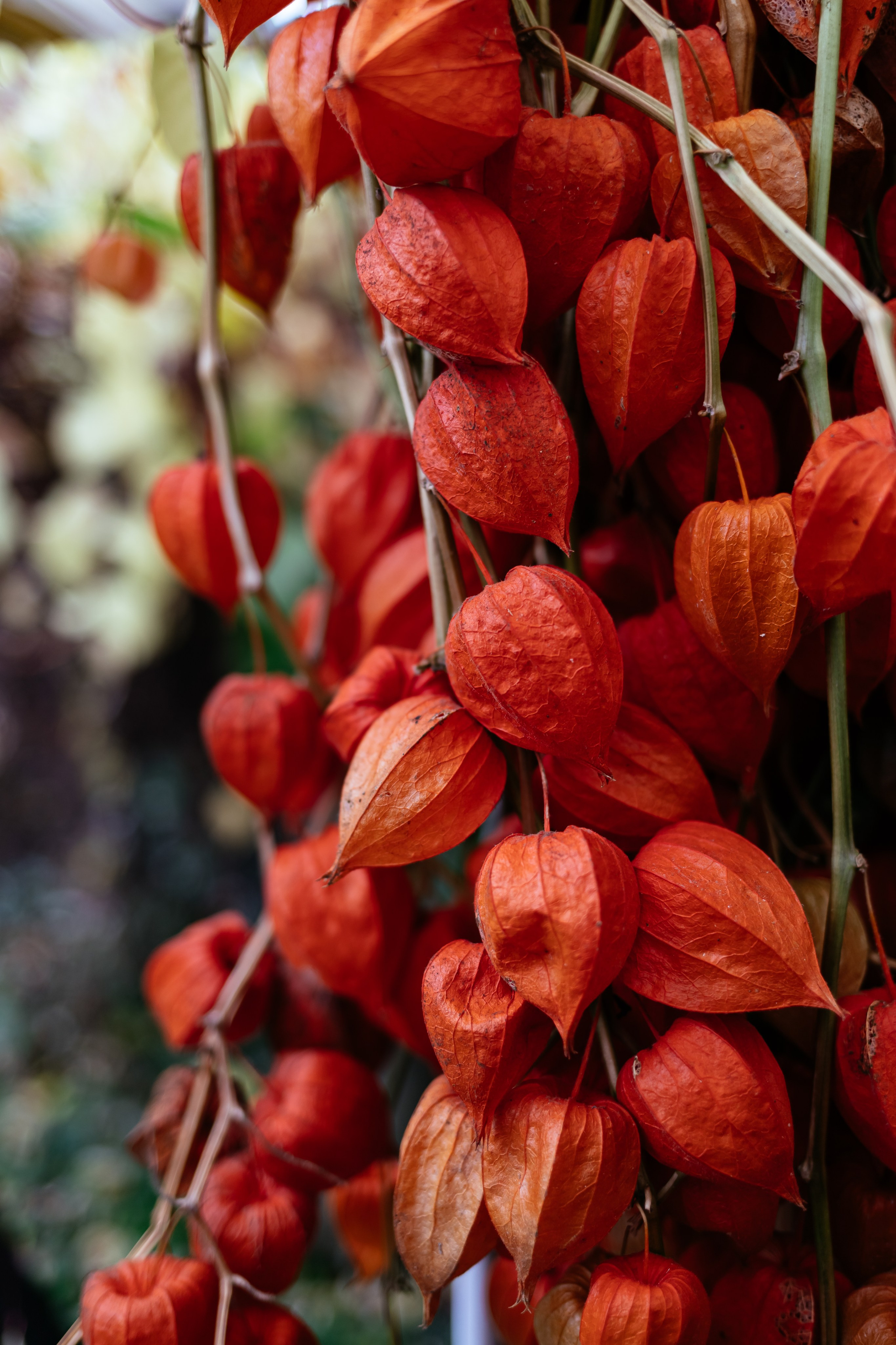 Портретная фотопрогулка по городу. Семейный фотограф в Минске Приболовец Светлана