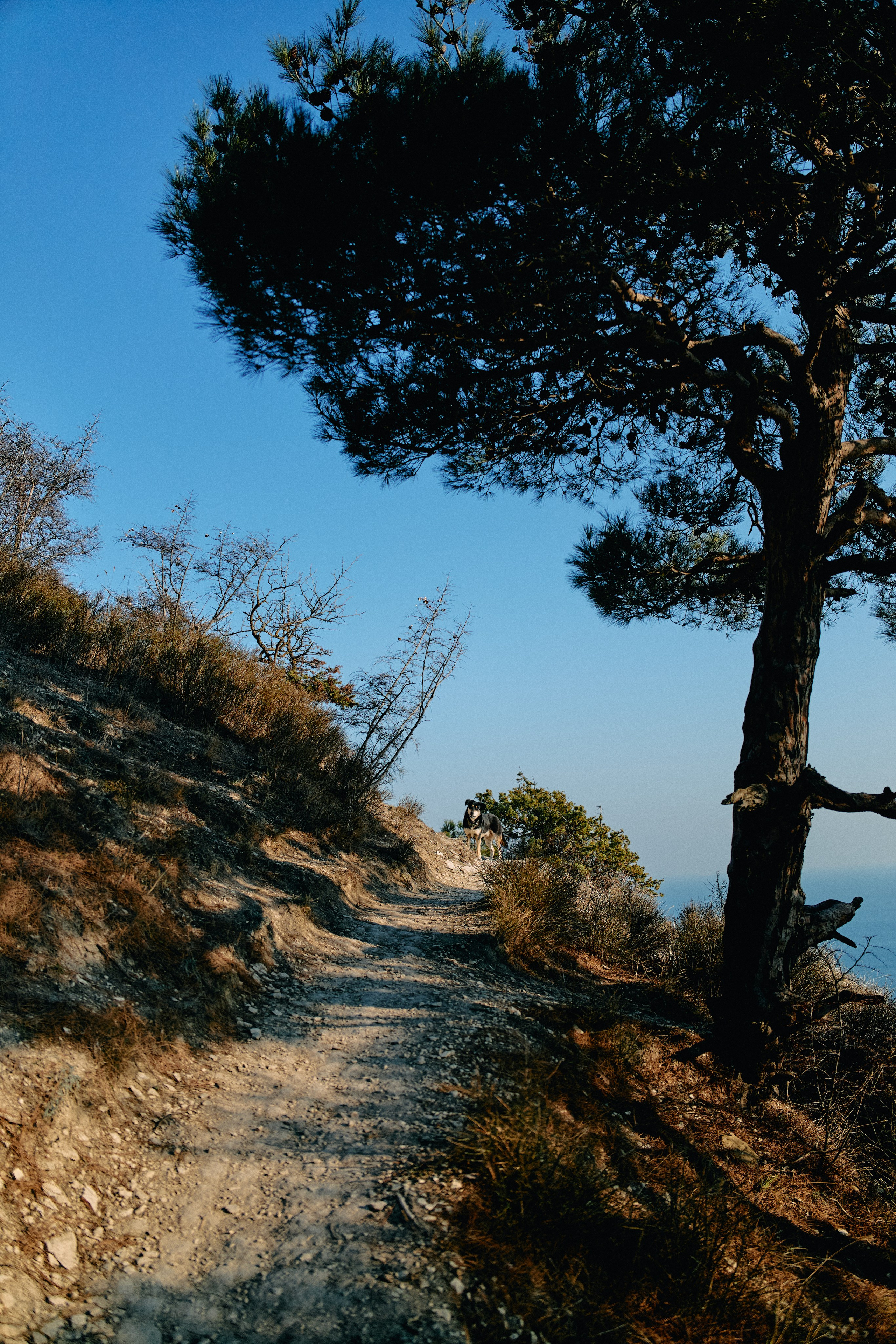 Юг России. Профессиональный Фотограф во Владимире, в Москве и в Суздале — Полина Романычева
