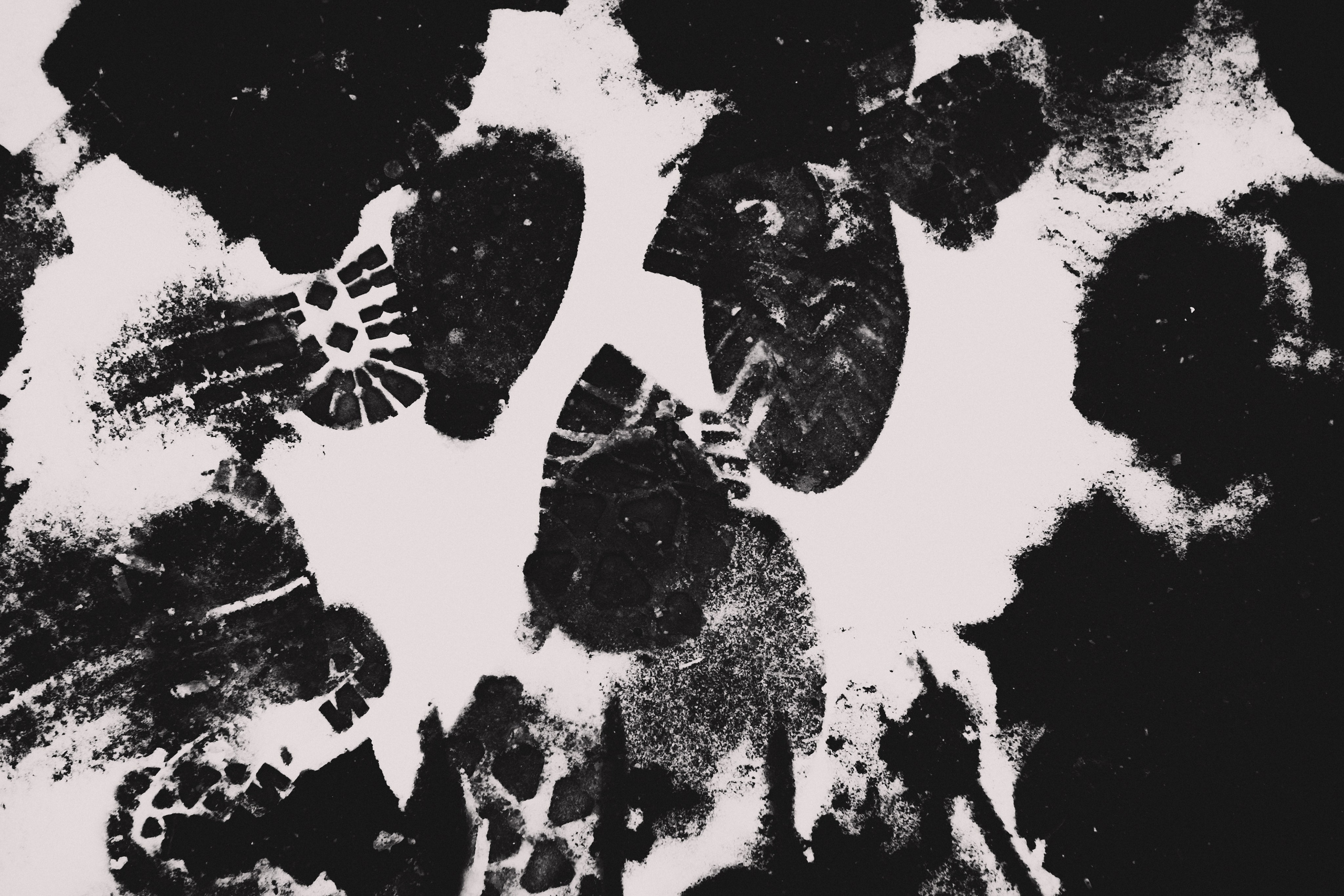 02.03.2025 // фотопрогулка с Сергеем Повитковым. Фотовыставки serebro.gallery, в которых автором можешь стать ты! | Москва