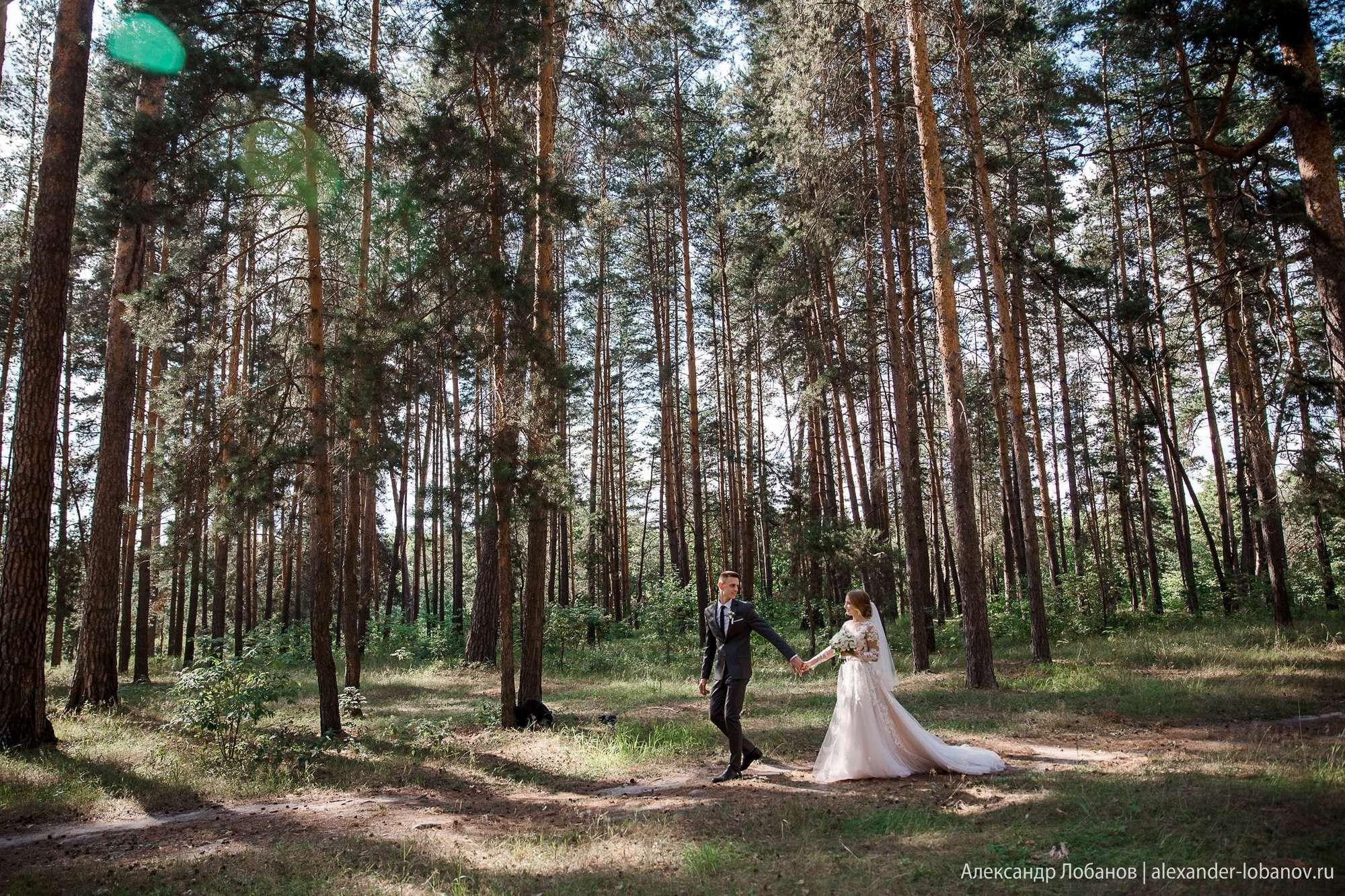 Свадьба Михаила и Анастасии