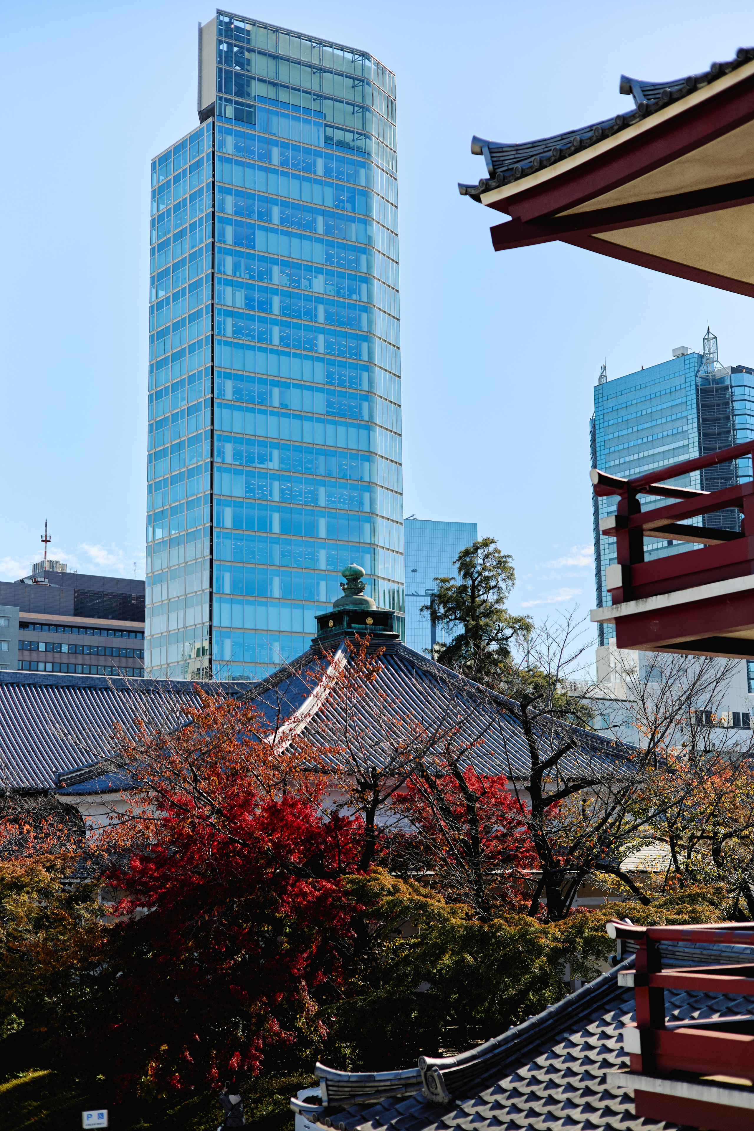 Япония. Профессиональный Фотограф во Владимире, в Москве и в Суздале — Полина Романычева