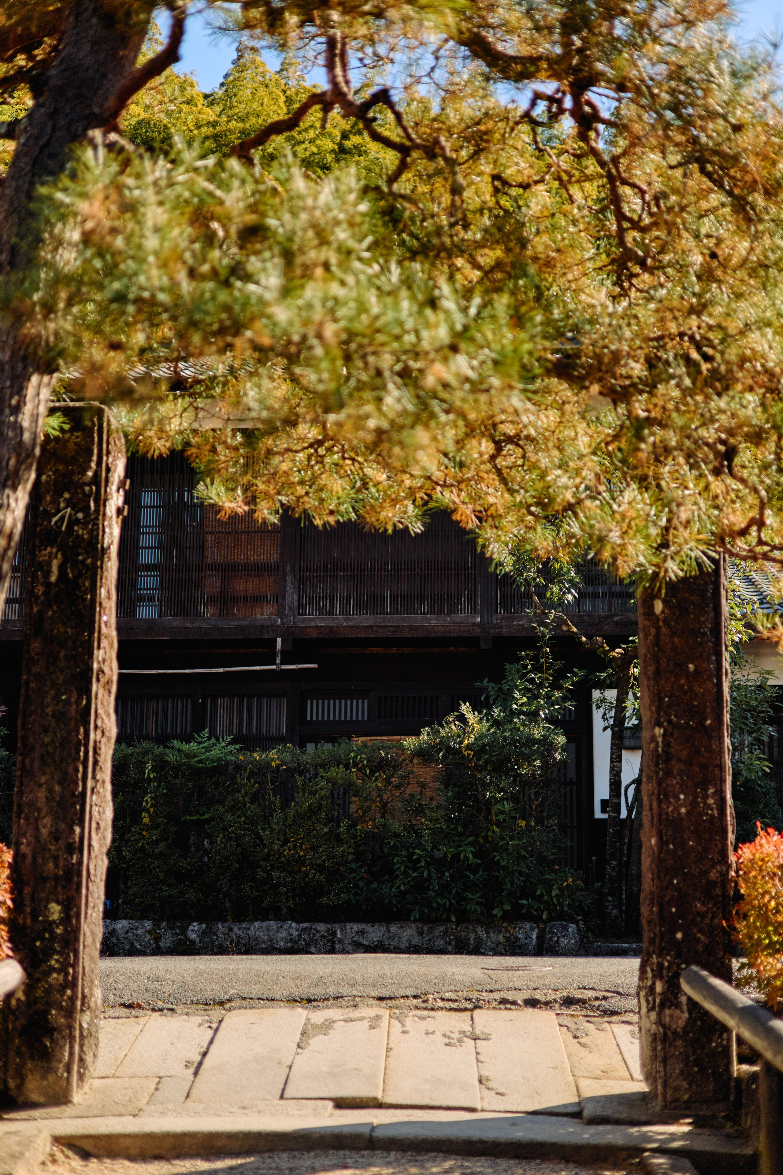 Япония. Профессиональный Фотограф во Владимире, в Москве и в Суздале — Полина Романычева