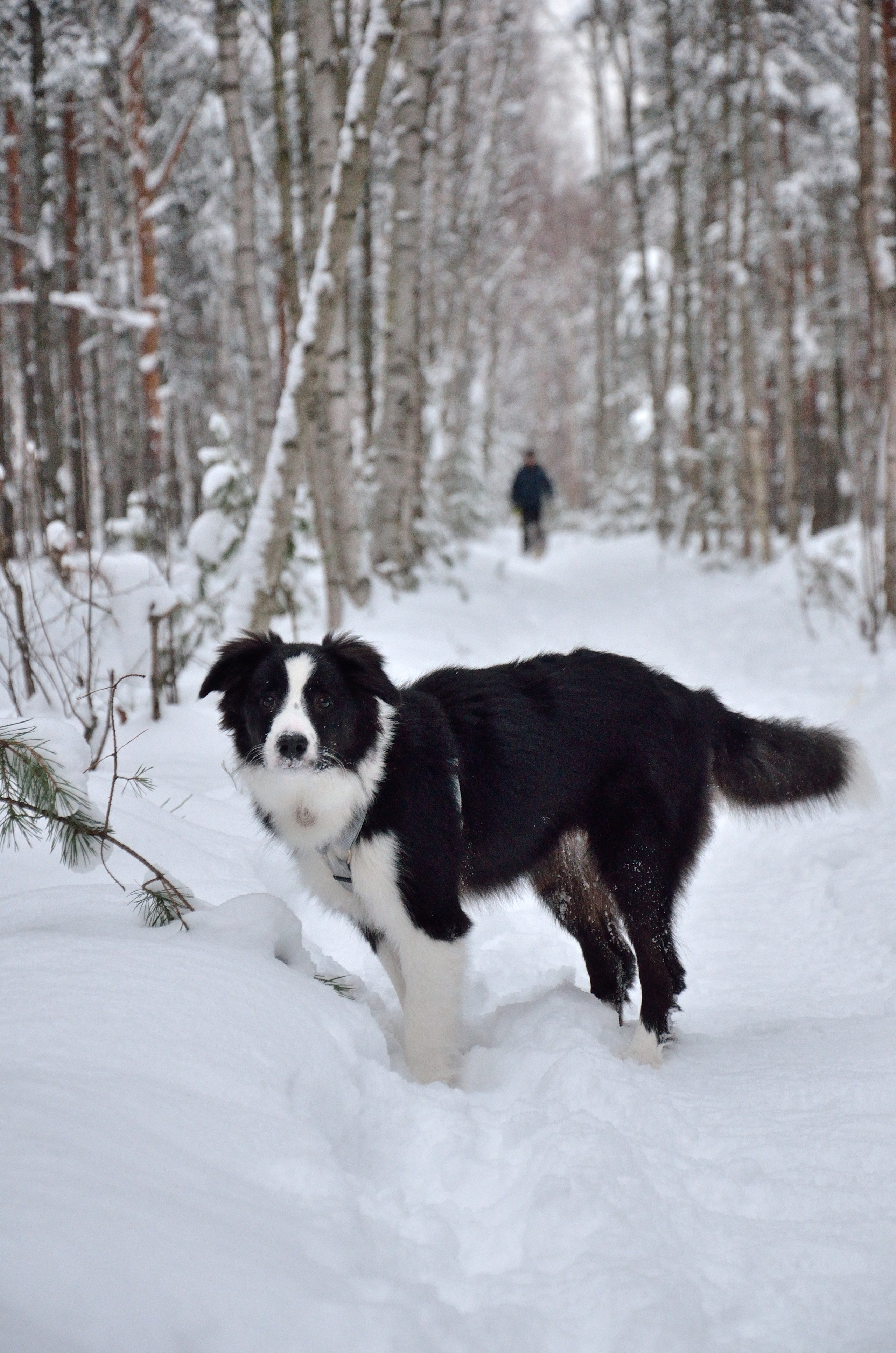 Муня. Добро пожаловать на мой сайт, меня зовут Наталия, я фотограф