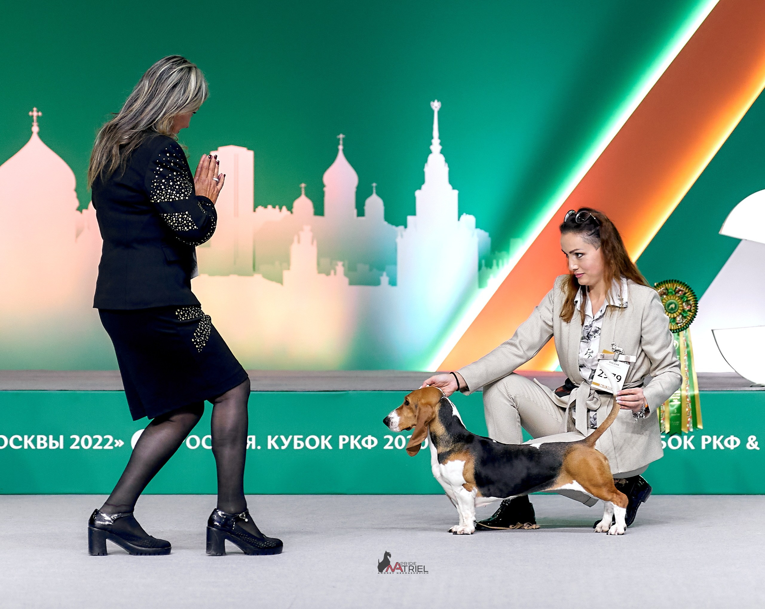 Работа в рингах — галерея NATRIEL