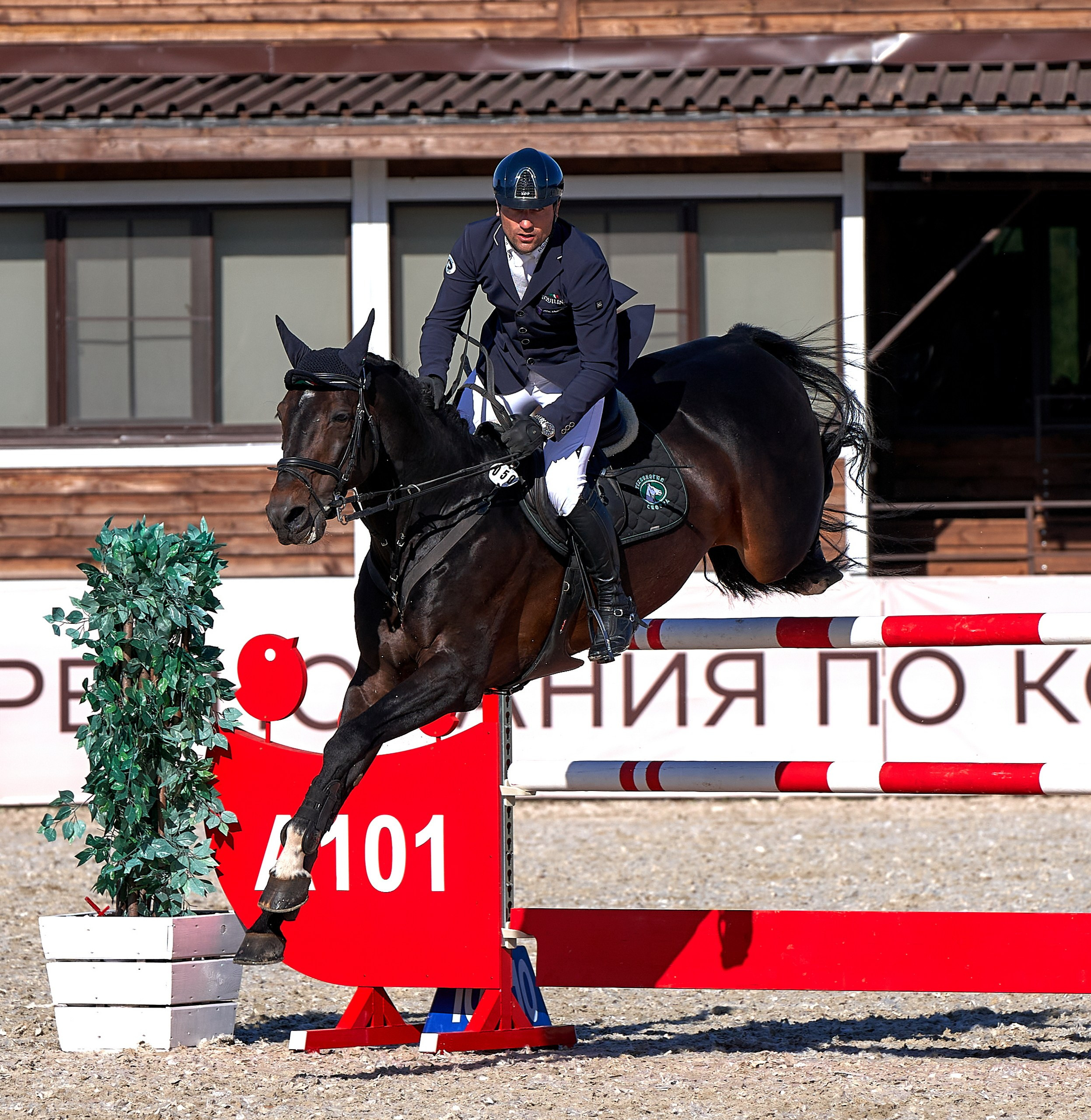 Соревнования на лошадях — галерея NATRIEL