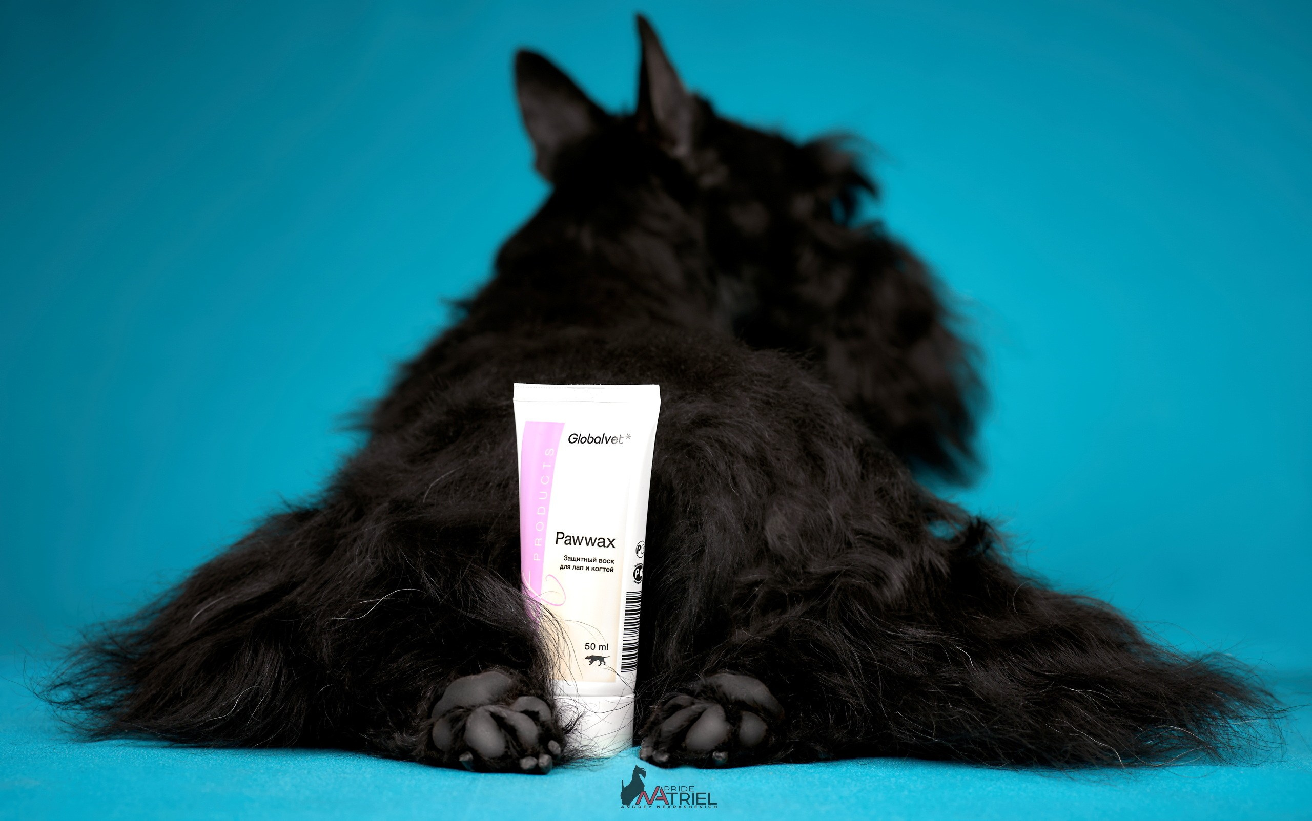 Реклама с животными — галерея NATRIEL