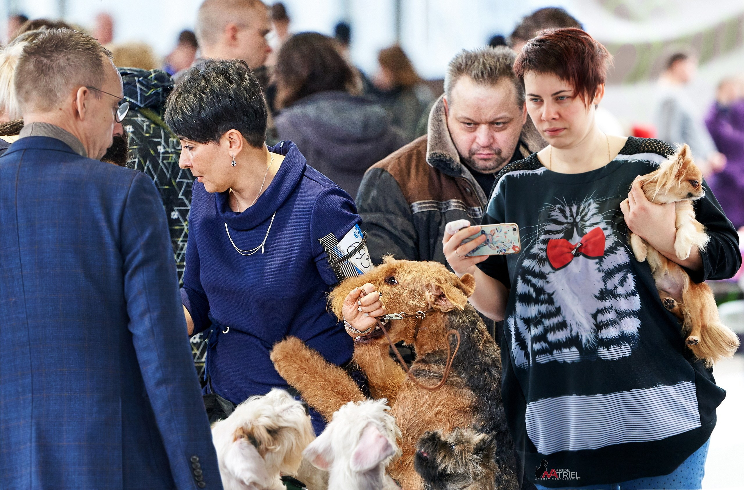 Работа в рингах — галерея NATRIEL