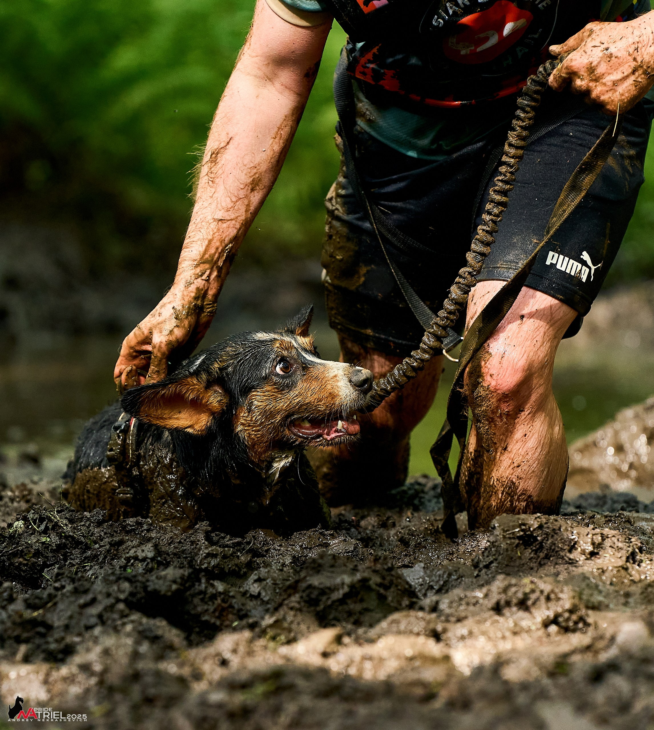 Russian Extreme Dog Trail — 2025