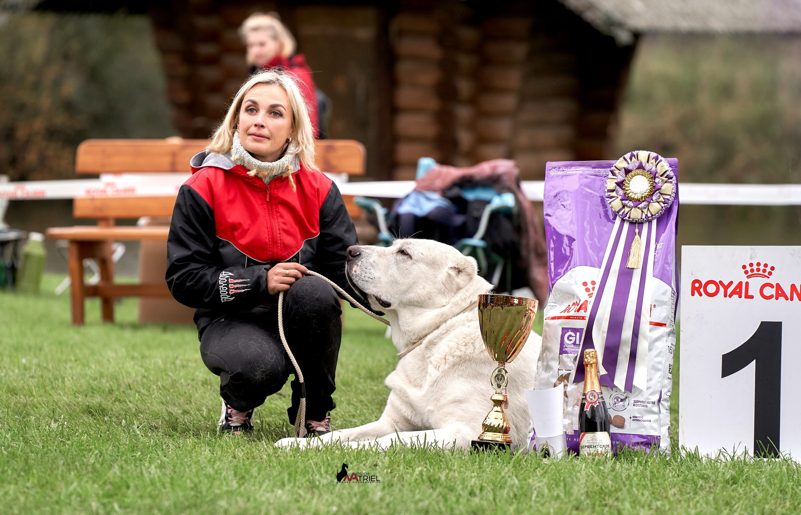 Призовые места — галерея NATRIEL