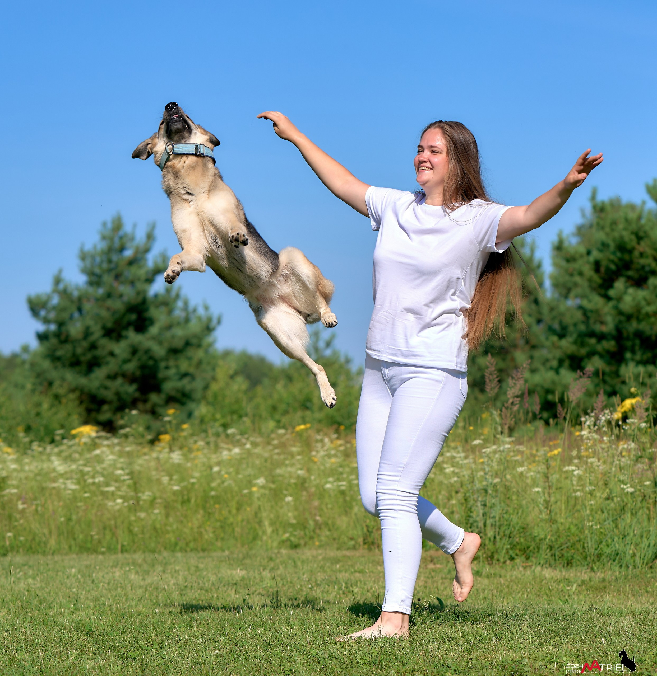 Репортаж из кинологического лагеря