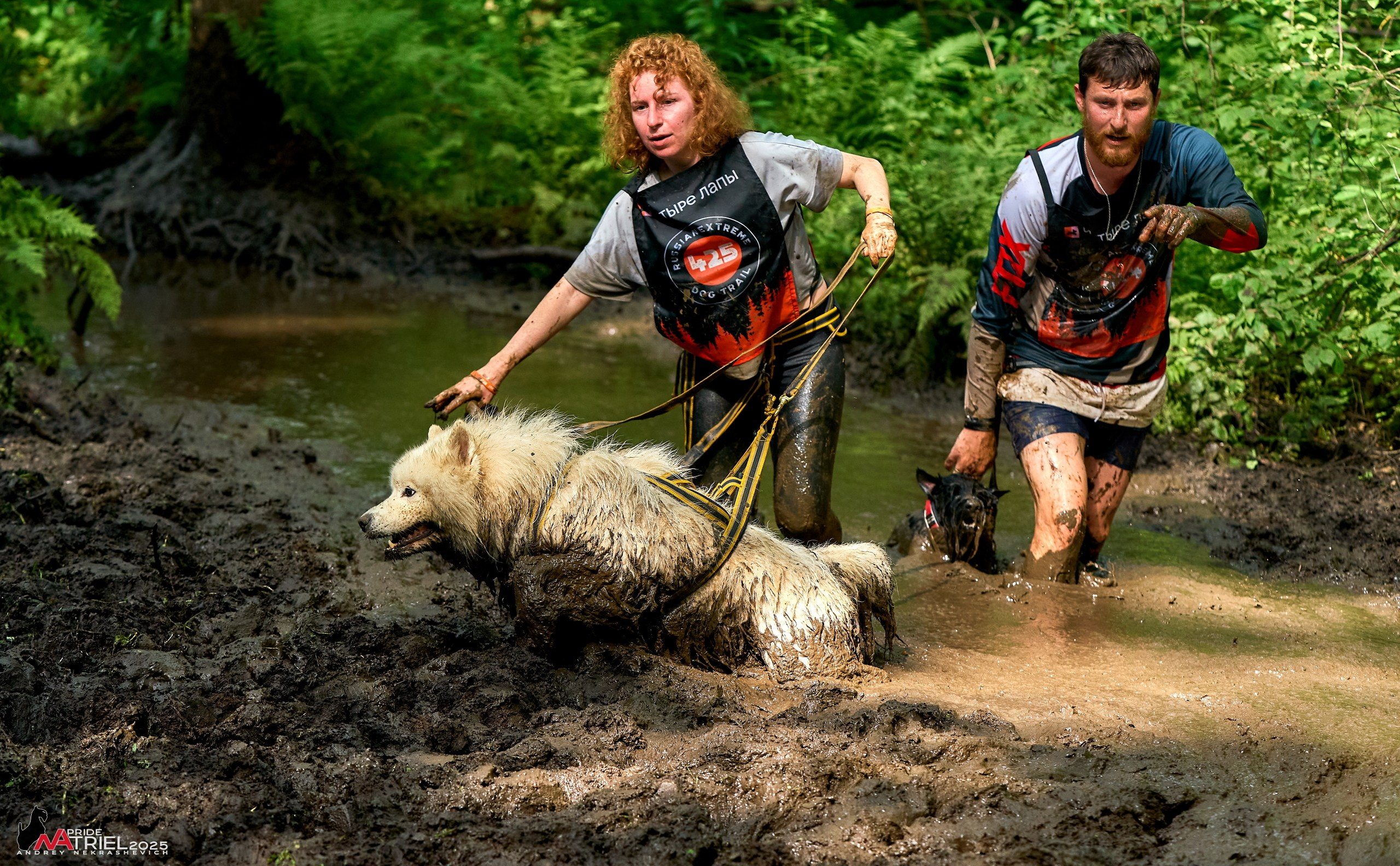 Russian Extreme Dog Trail — 2025
