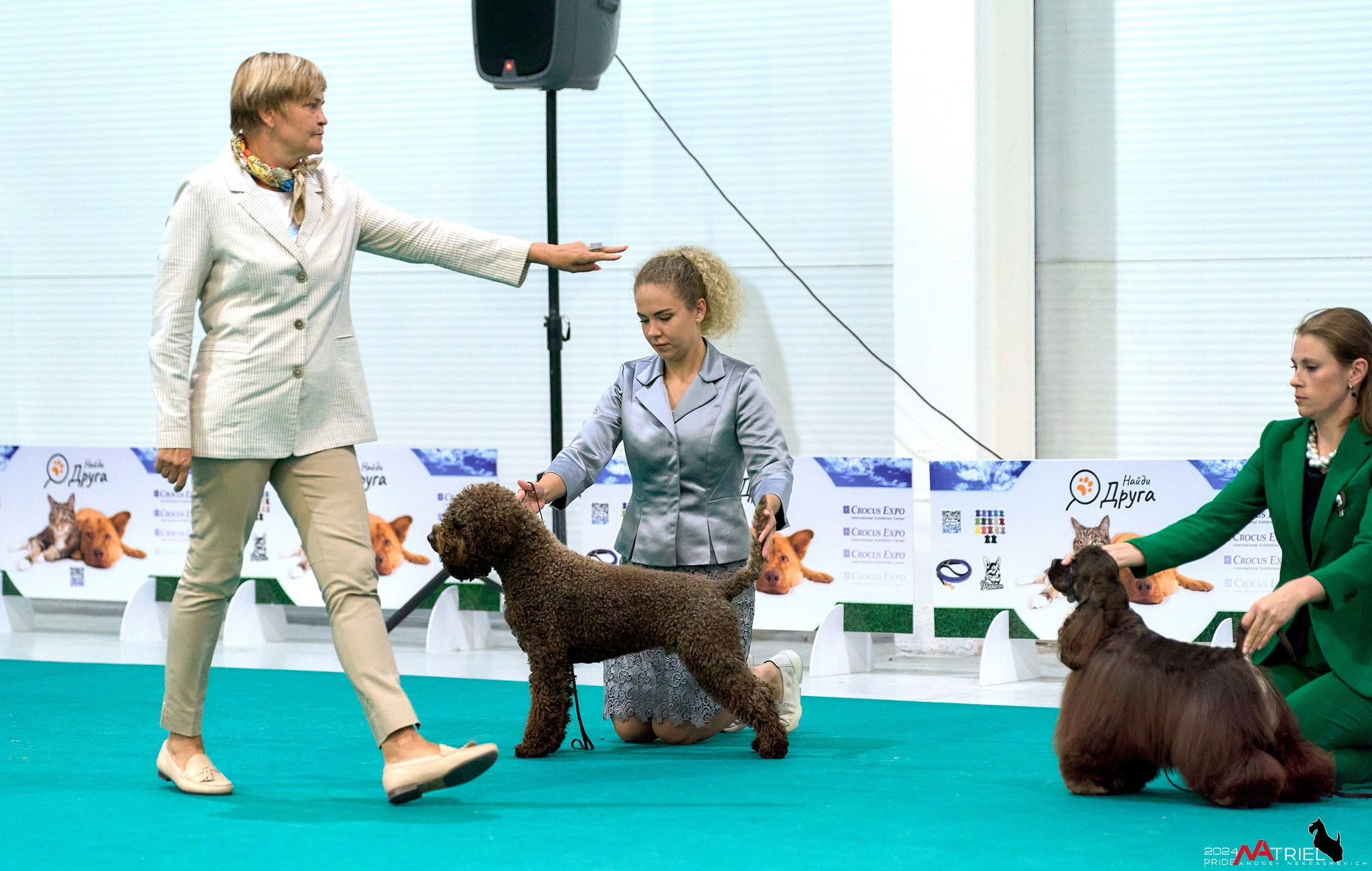 Съемка на выставке в Крокус