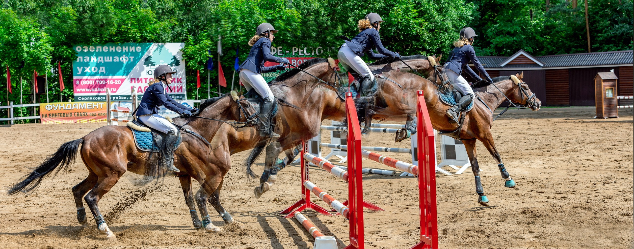 Соревнования на лошадях — галерея NATRIEL