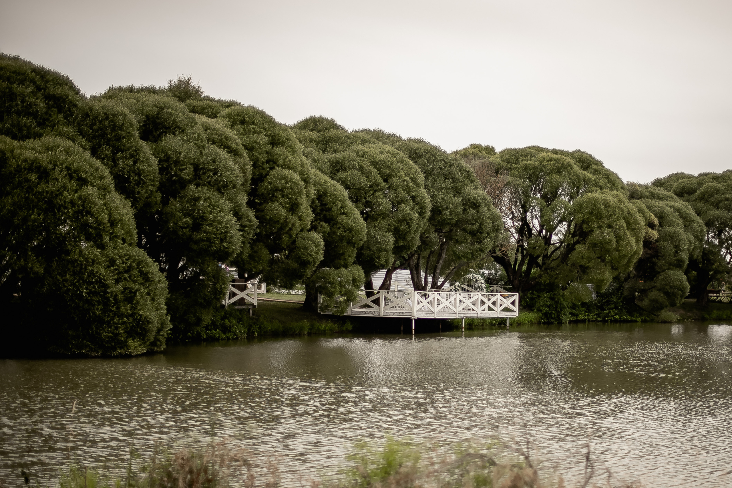 Алексей и Даша. Фотограф