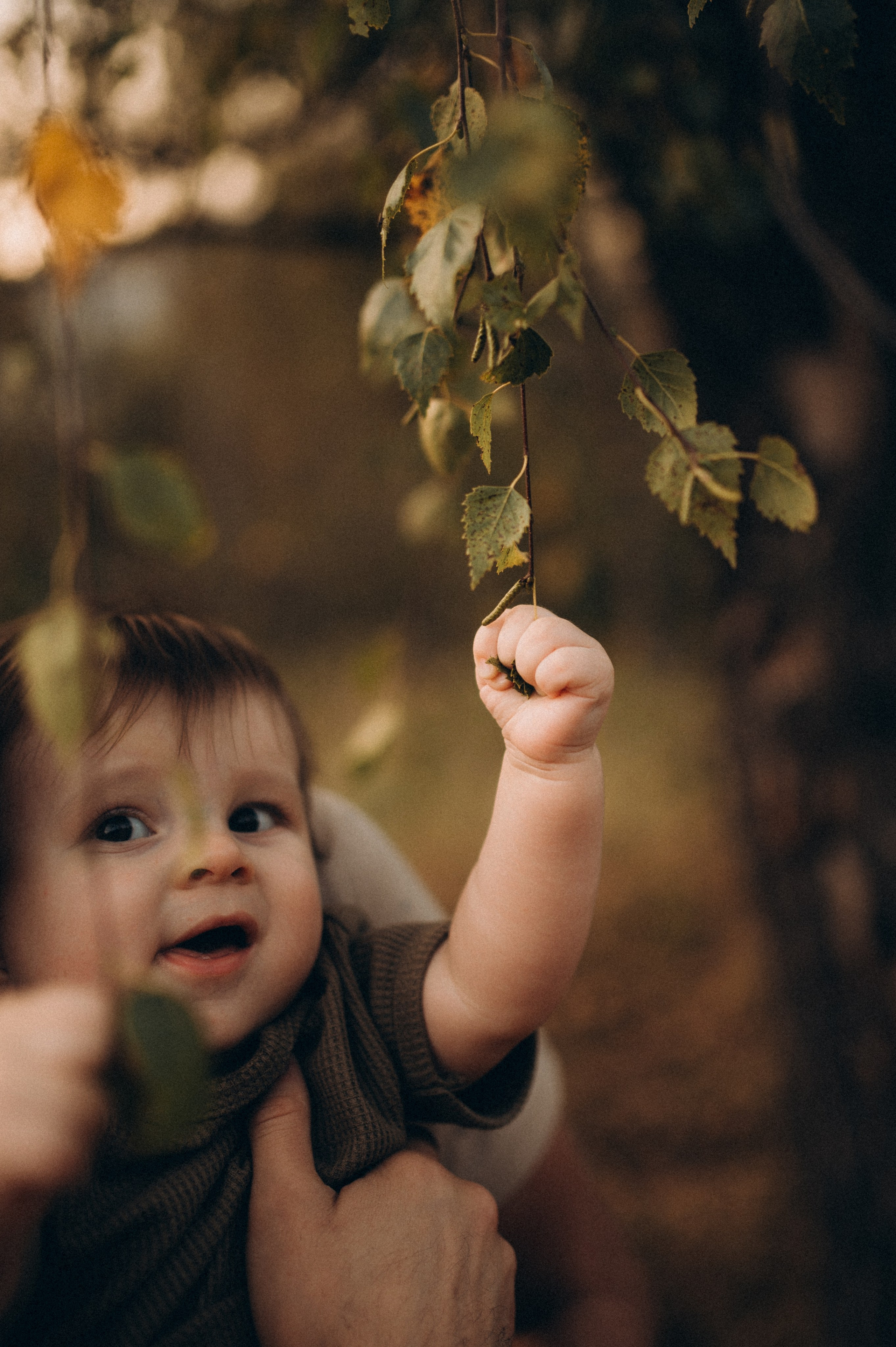 Счастливые мгновения прекрасной семьи!. Фотограф Алексин, Тула