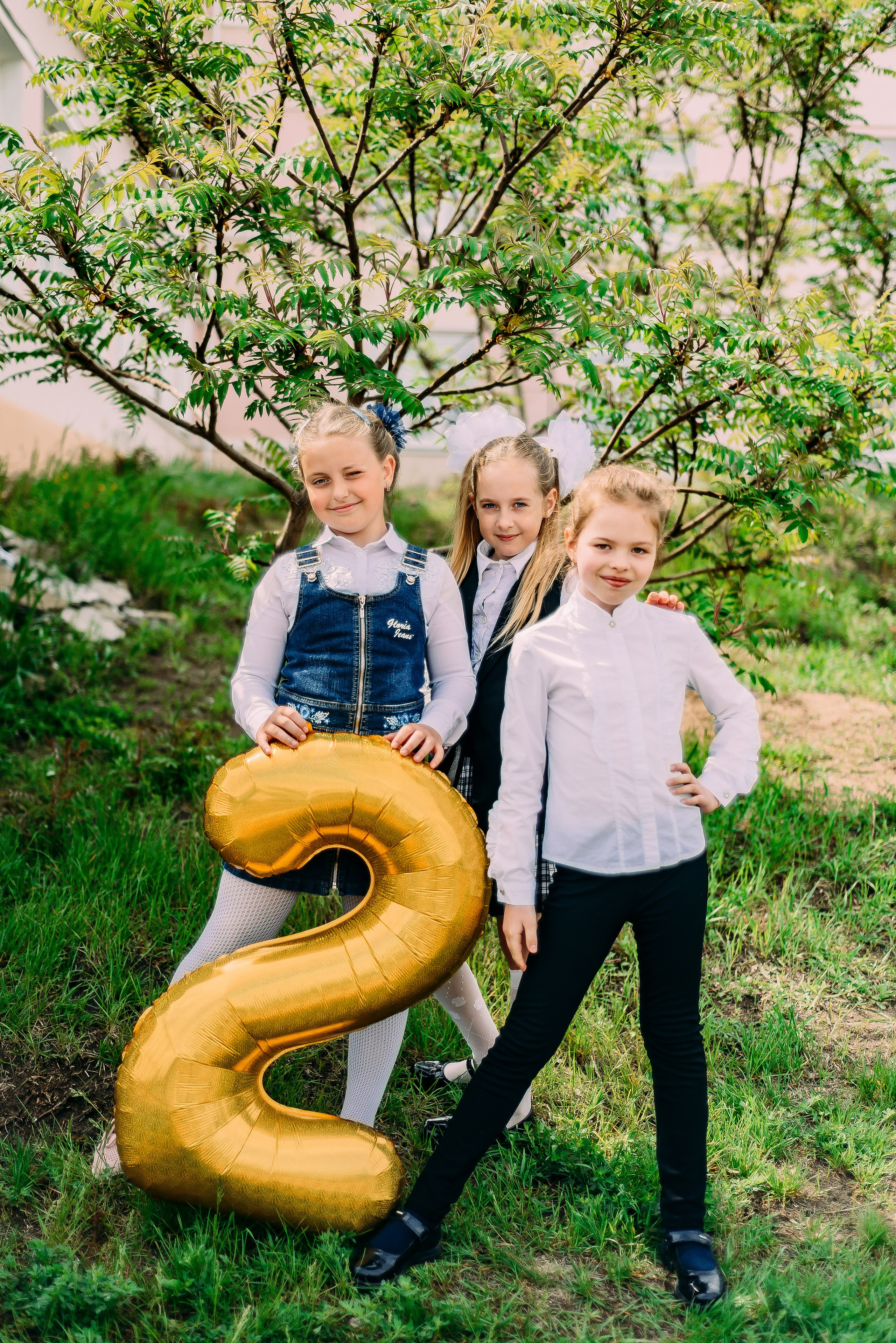 2 «А» | Школа № 17| г. Лиски |2022. ALBUMIA