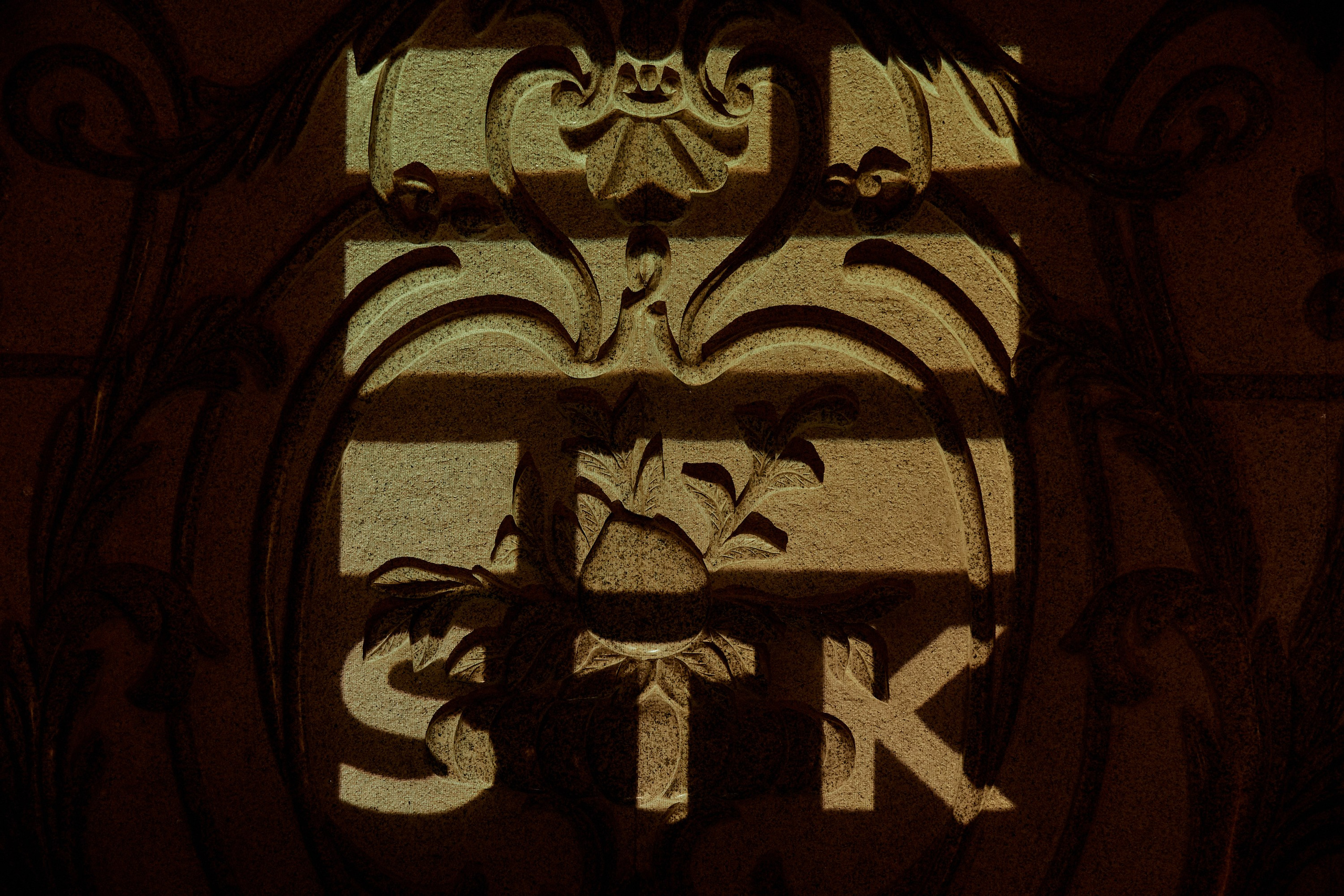 STK 10 YEARS. Дмитрий Мазуркевич: Профессиональный Репортажный Фотограф