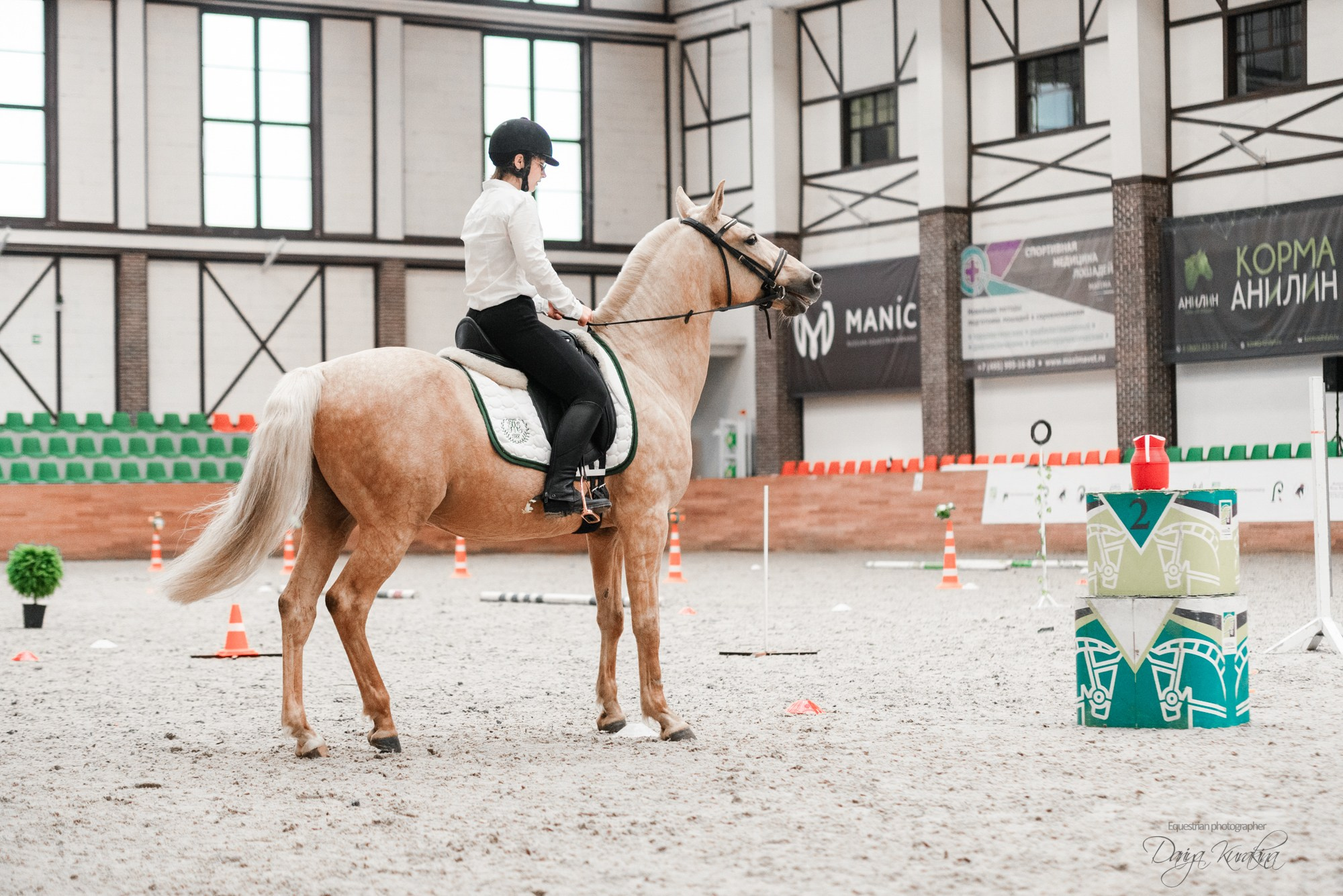 8-я международная выставка Конная Россия. Конный фотограф Куракина Дарья • Фотосессии с лошадьми