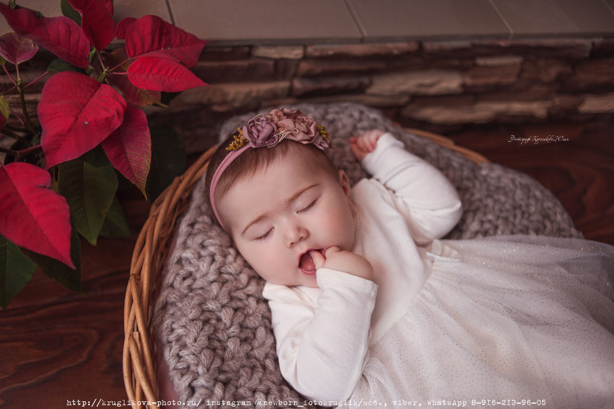 Новогодняя малышка. 6 месяцев. Фотограф новорожденных и детский в Сергиевом Посаде Кругликова Юлия