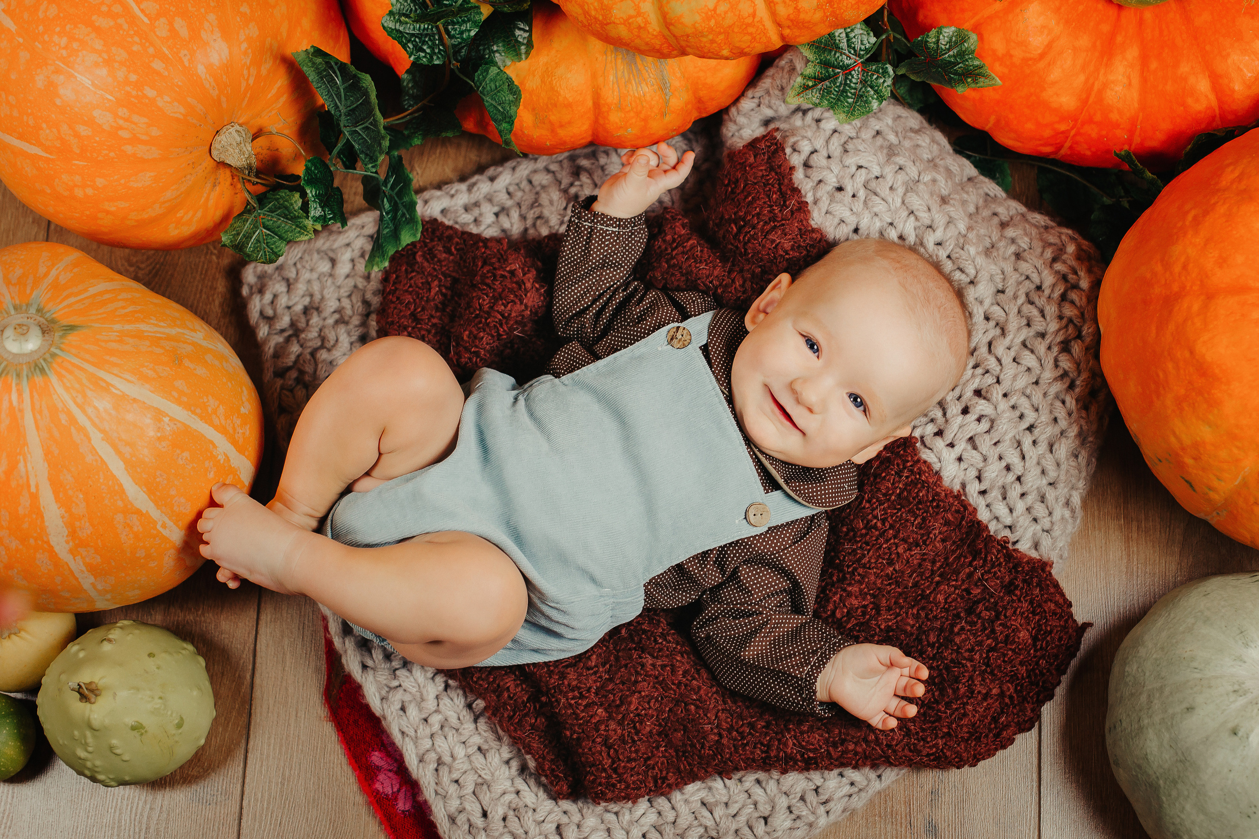 Кирюша. Проект Тыковки. 7 месяцев. Фотограф новорожденных и детский в Сергиевом Посаде Кругликова Юлия