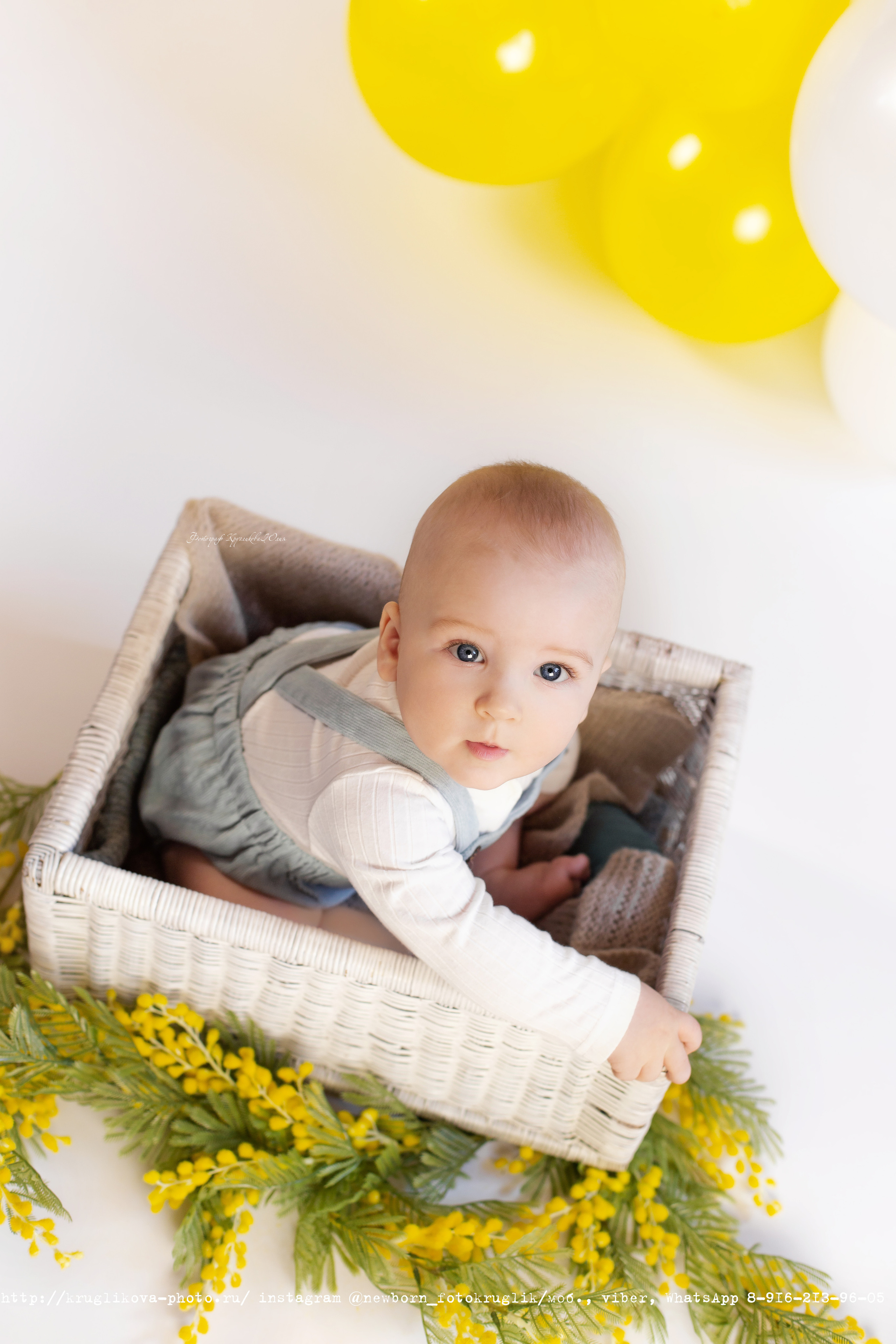 Сережа. Весенний проект. 6 месяцев. Фотограф новорожденных и детский в Сергиевом Посаде Кругликова Юлия