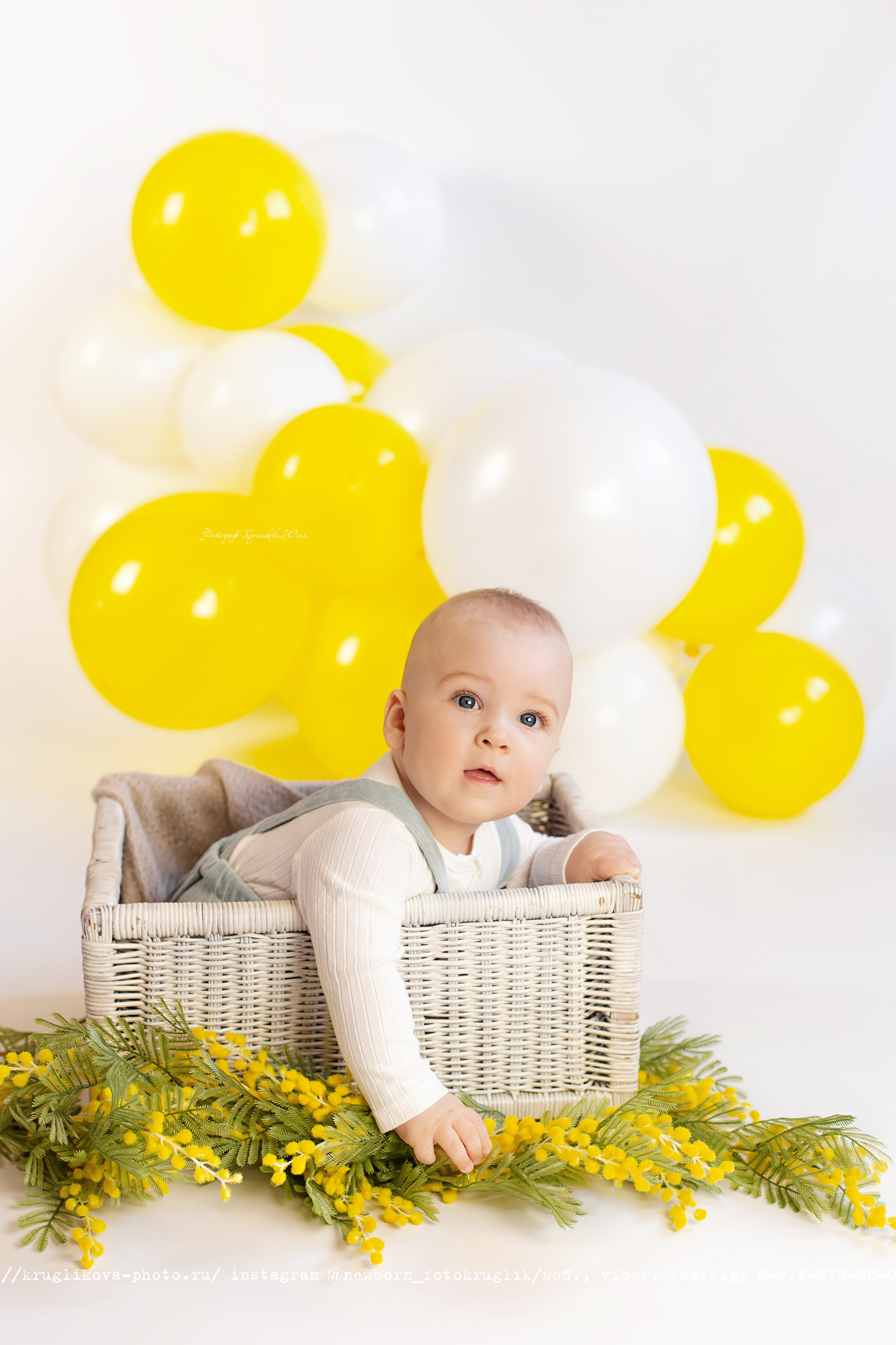 Сережа. Весенний проект. 6 месяцев. Фотограф новорожденных и детский в Сергиевом Посаде Кругликова Юлия