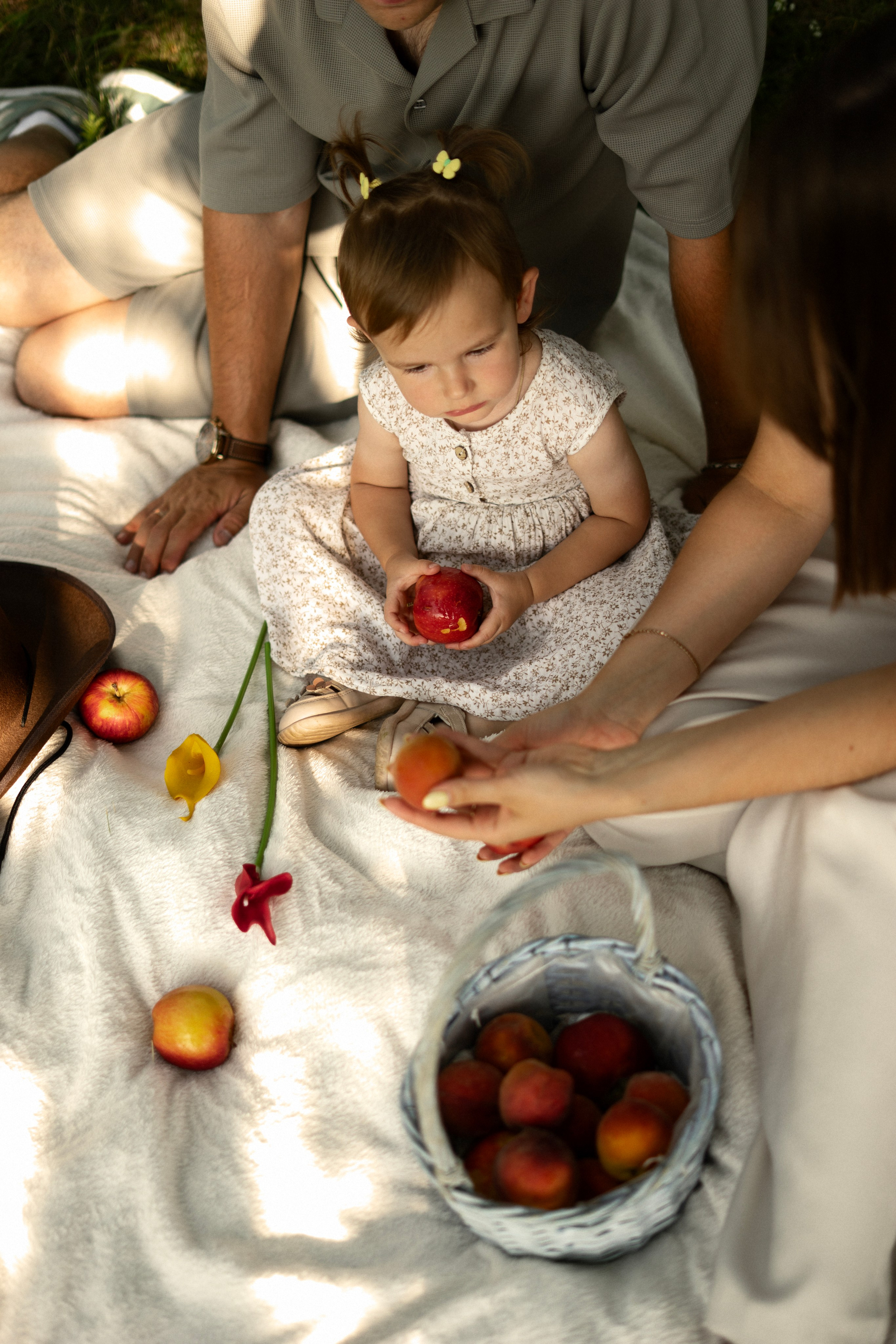 Семейная. Фотограф Новошахтинск|Ростов, Дарья Секрий