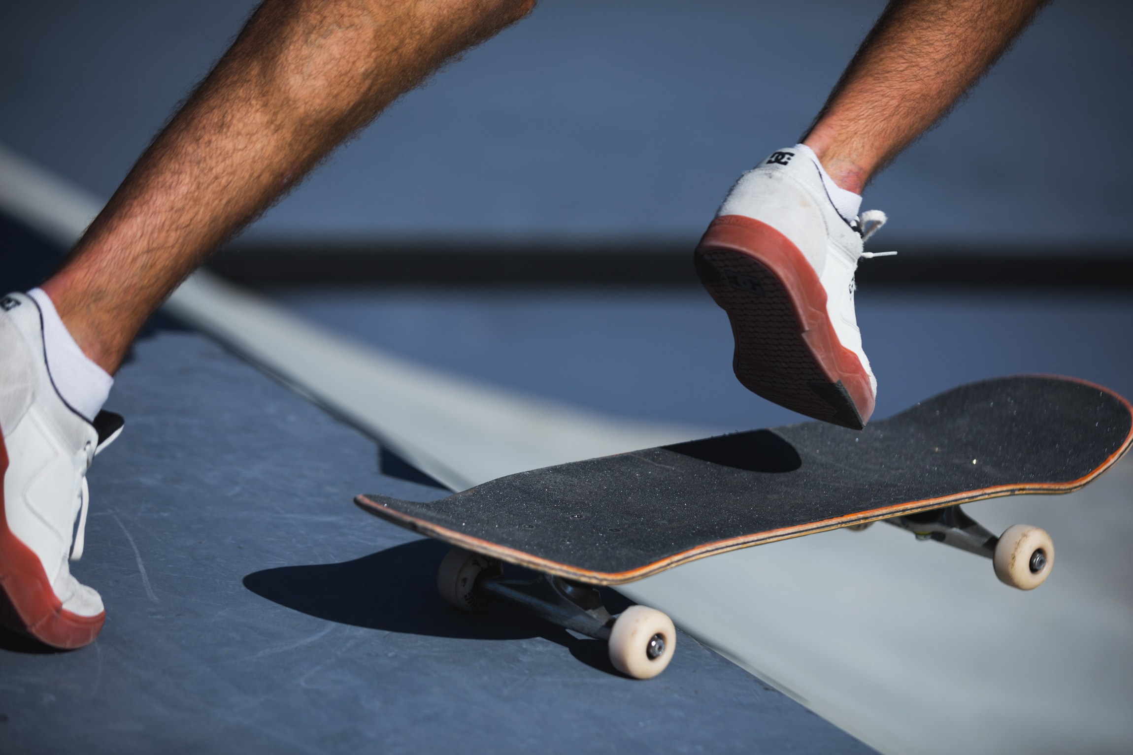 Lifestyle. Bivol images