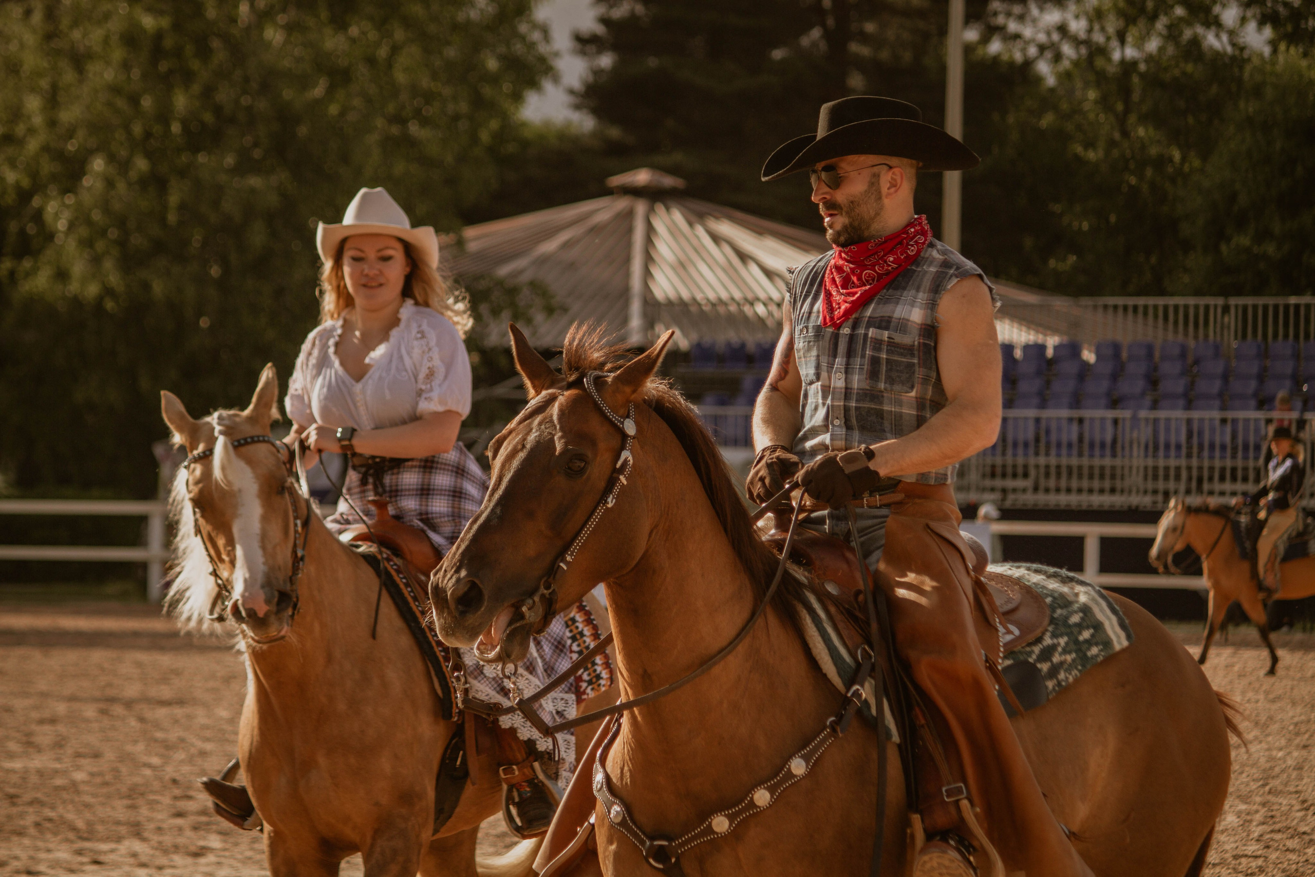 ИППОСФЕРА — Международная конная выставка. Создадим шедевр? Виталина и её фотоискусство