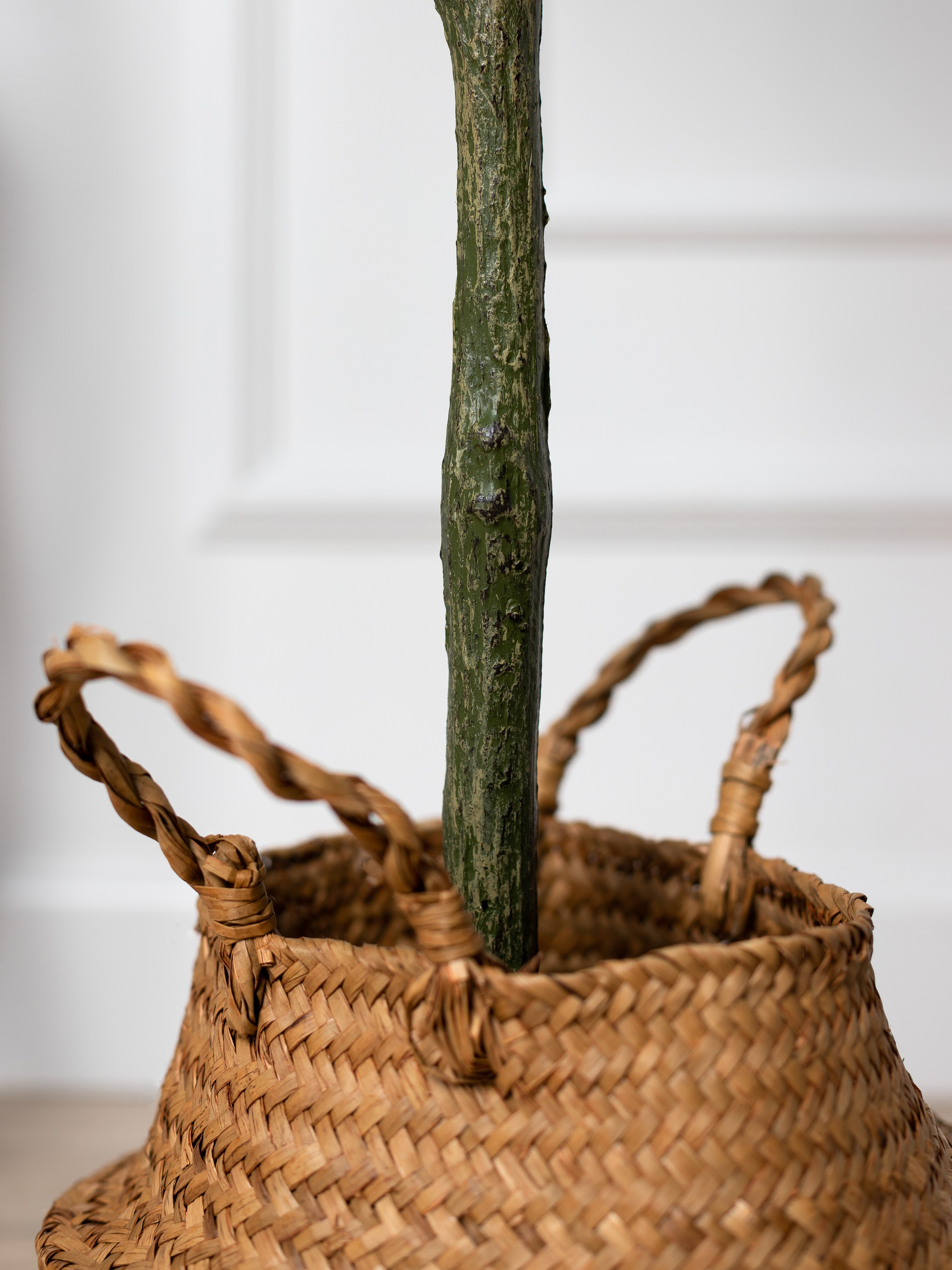 Искусственное дерево. Коммерческий фотограф в Санкт-Петербурге (СПб) Екатерина Панчёха, Панчёшка