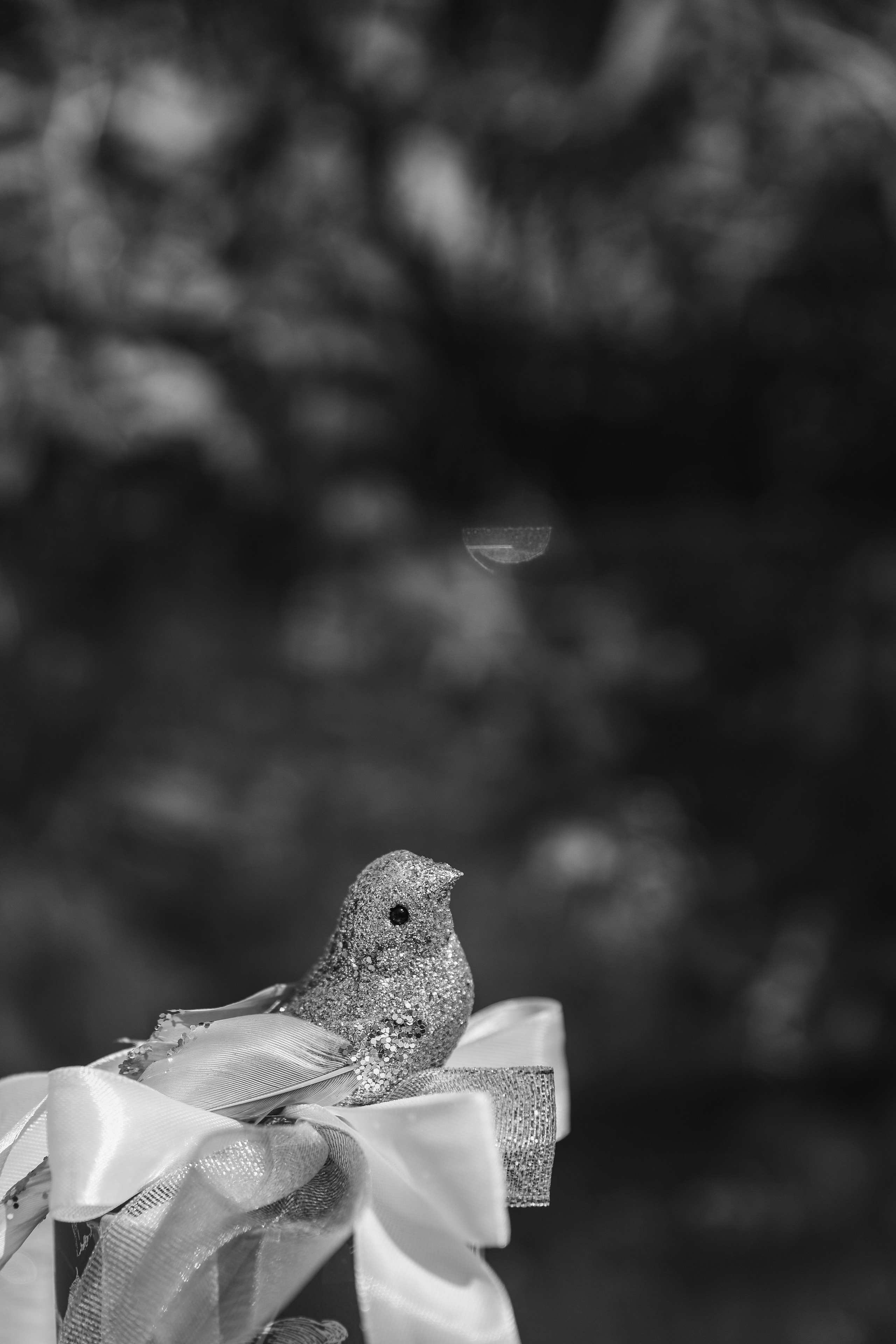 Анонс свадьба Дмитрий и Анастасия. Свадебный и семейный фотограф в Севастополе и Крыму Анастасия Сураева