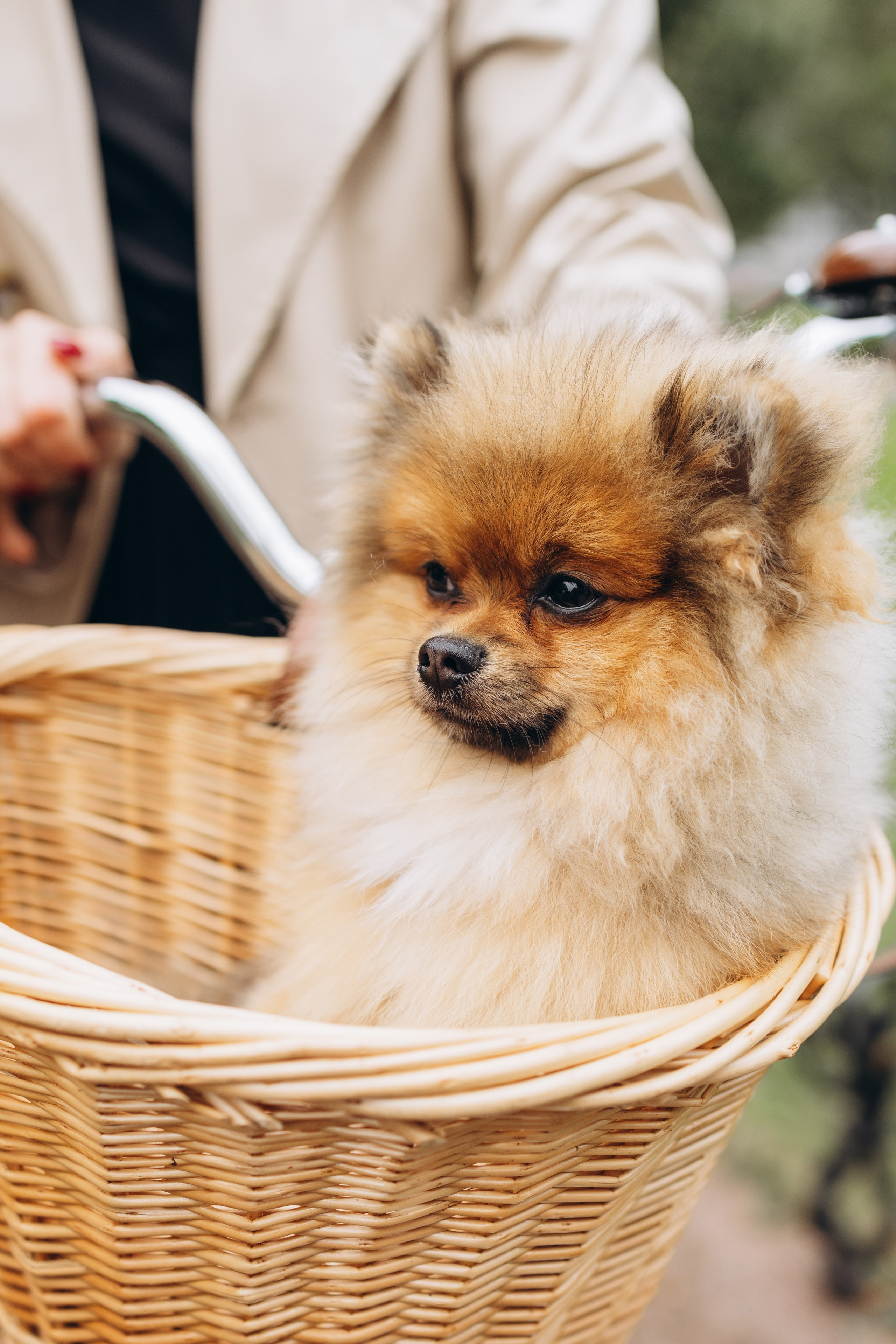 Просто вместе. Юля и Женя. Семейный и детский фотограф в Санкт-Петербурге — Лаврова Ольга