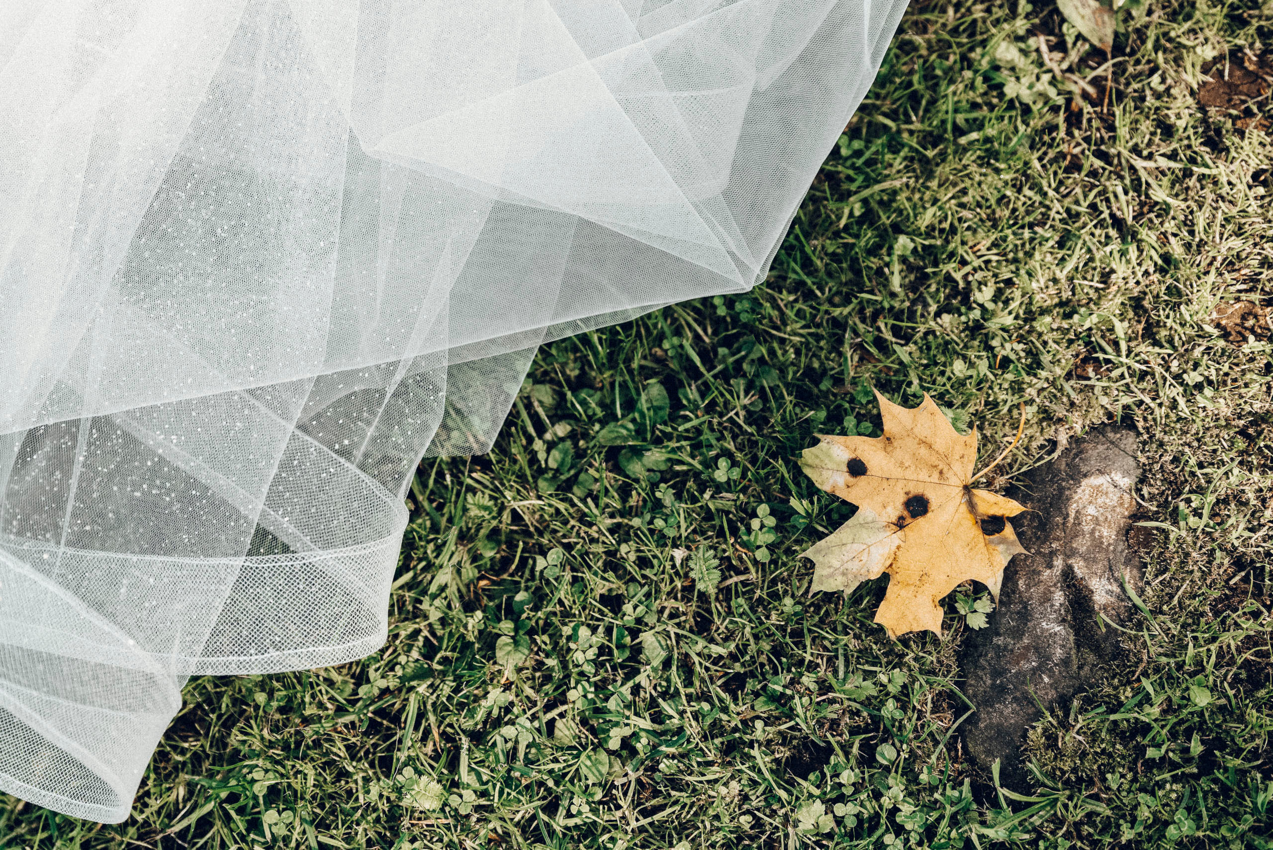 Фотограф Андрей Рижский. Санкт Петербург. Свадебная серия фотографий Веры  и Виктора.