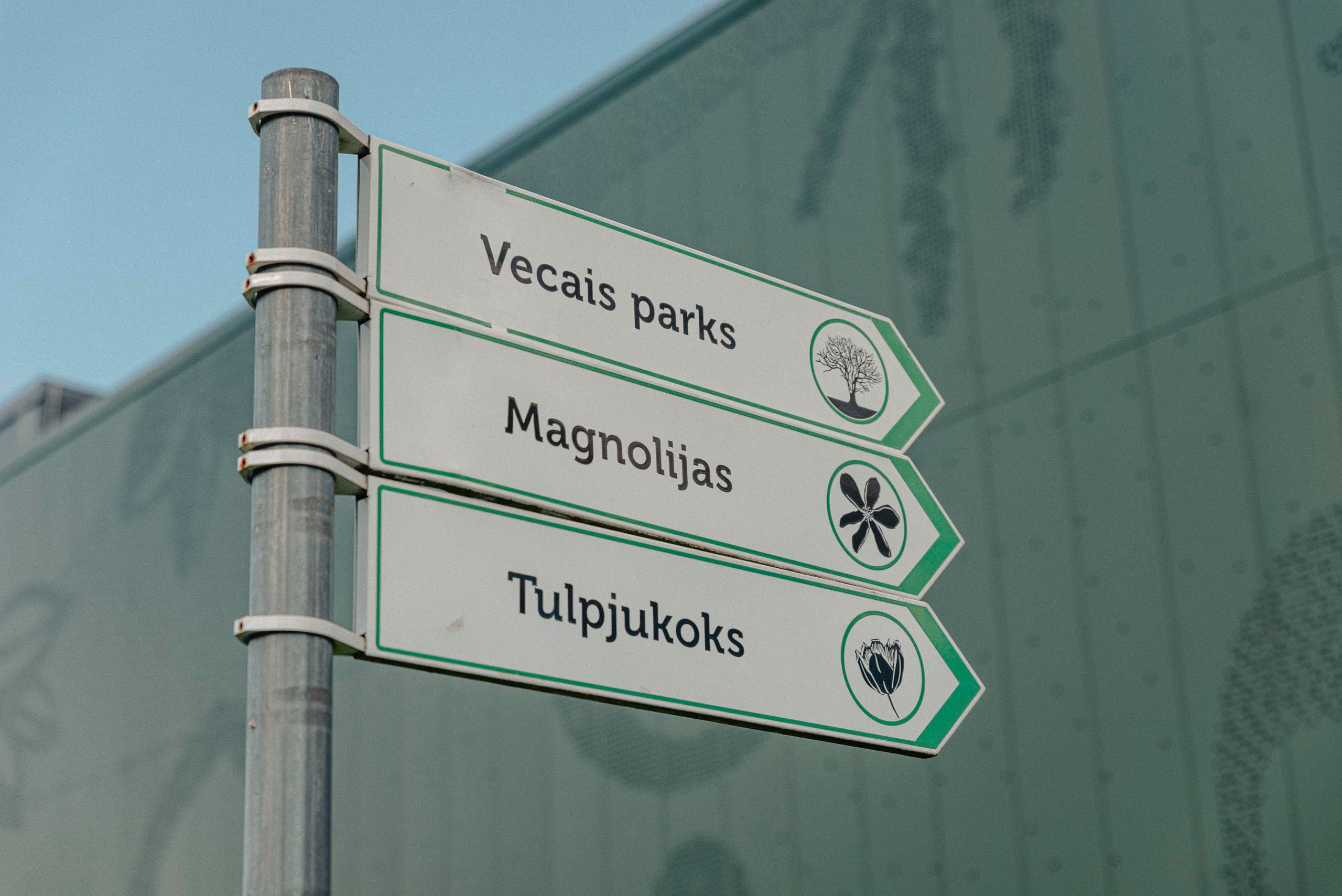 Семейная фотопрогулка