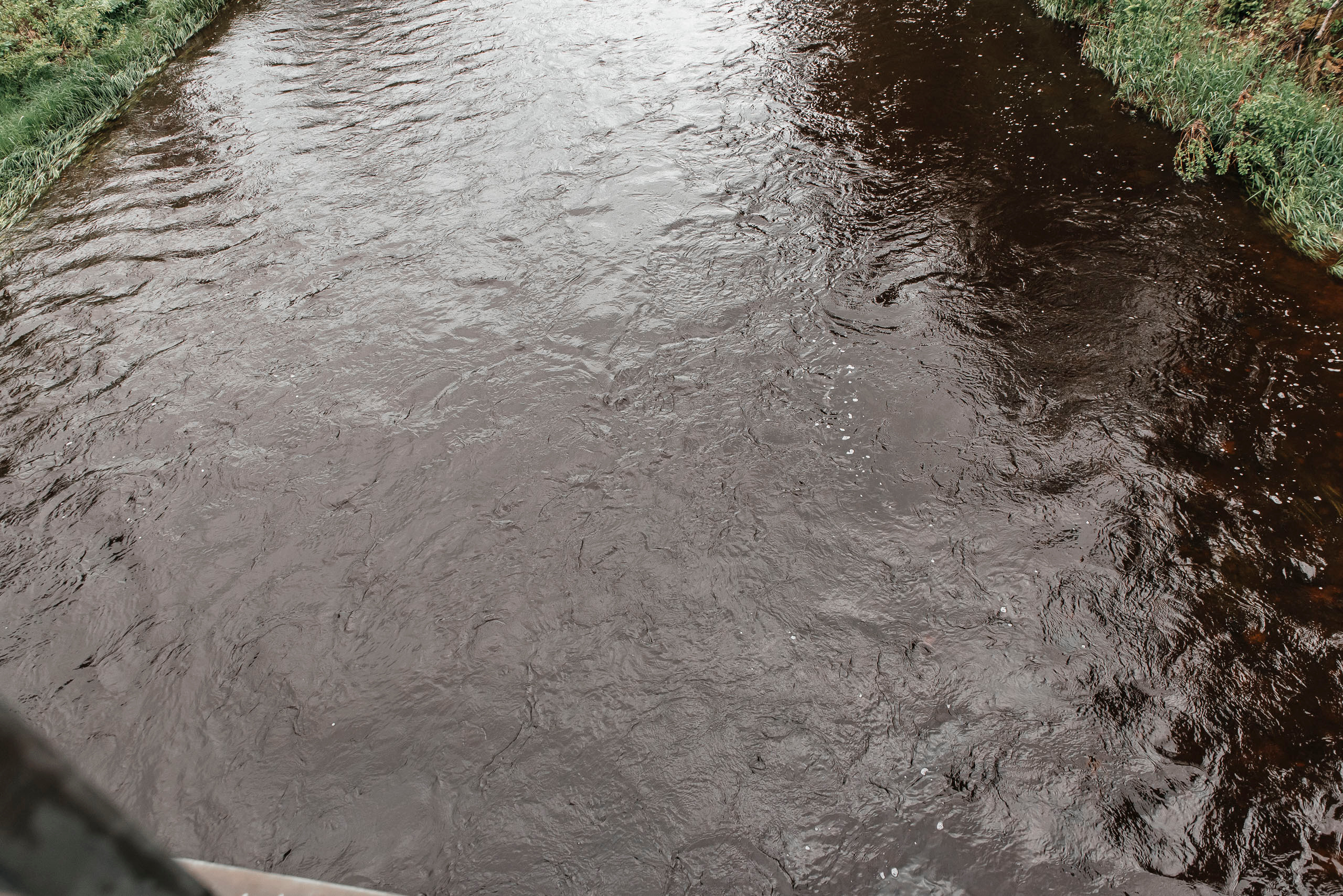 Свадебная серия фотографий Артура и Александры