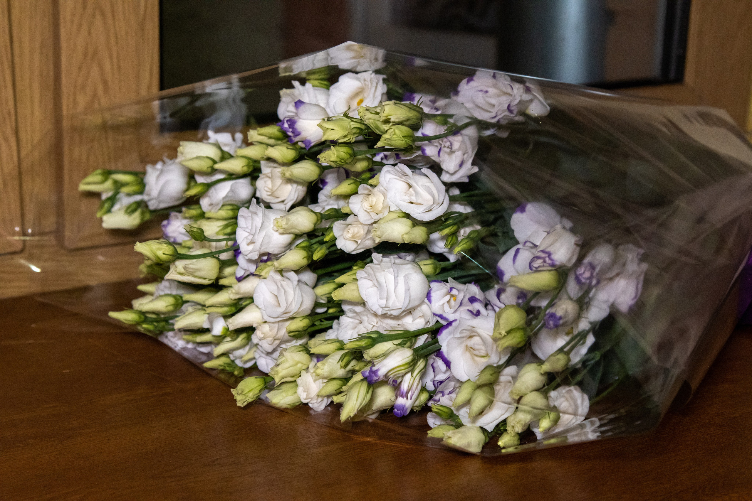 Съёмка программы Гостиная Александра Олешко. «Студия DRONAVT`s» — видеосъёмка и фотография г. Москва