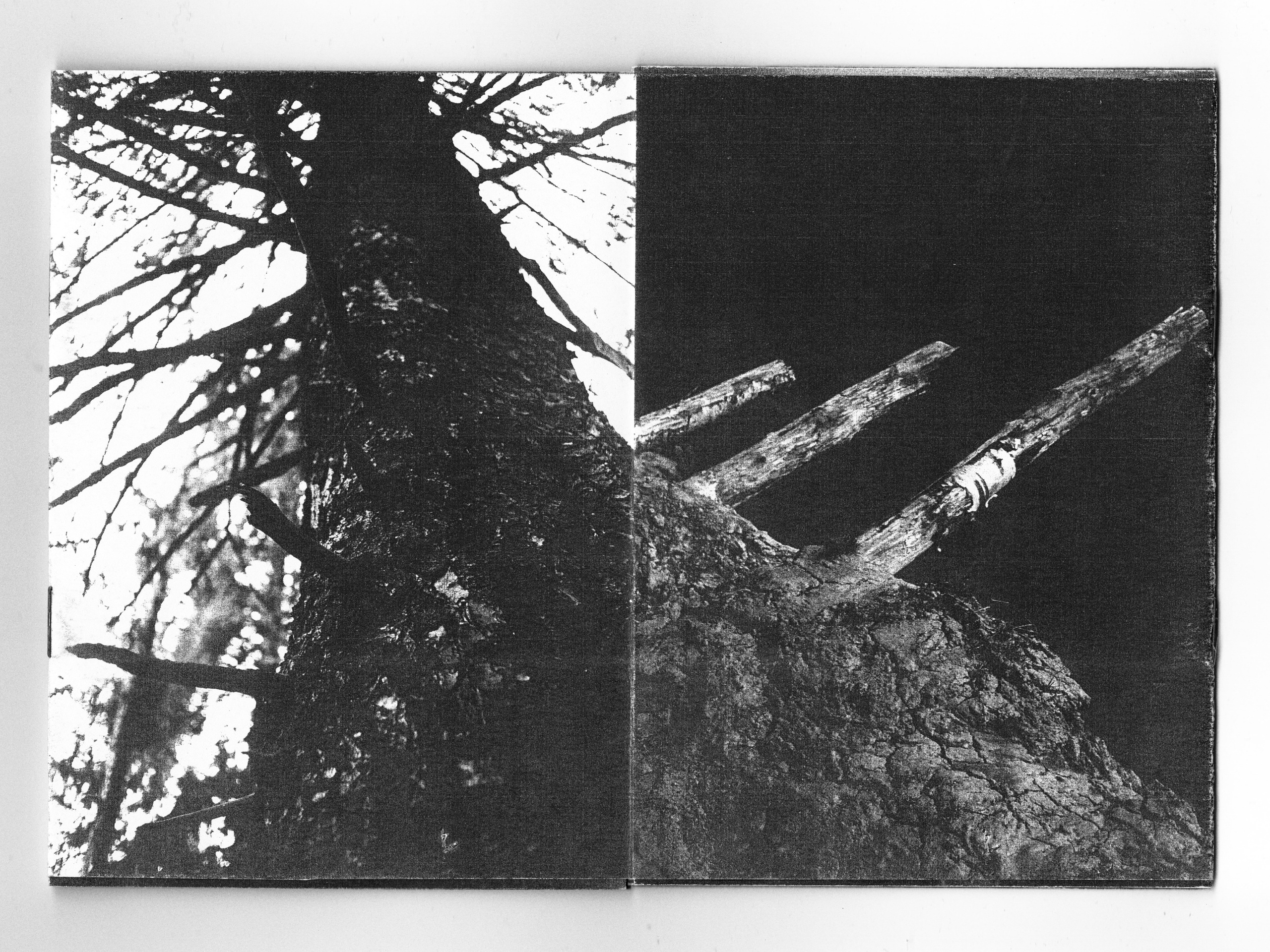 Под Кожей. Главная