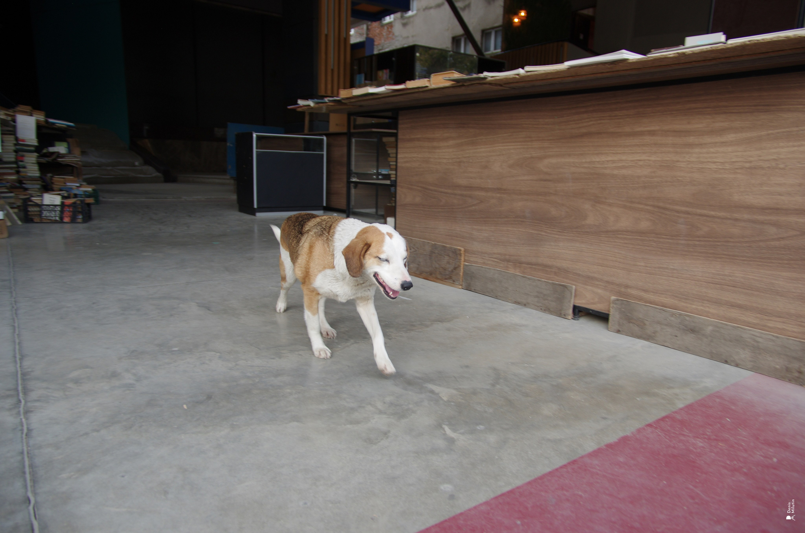 Элен в Кутаиси. Портретный фотограф Денис Милютин