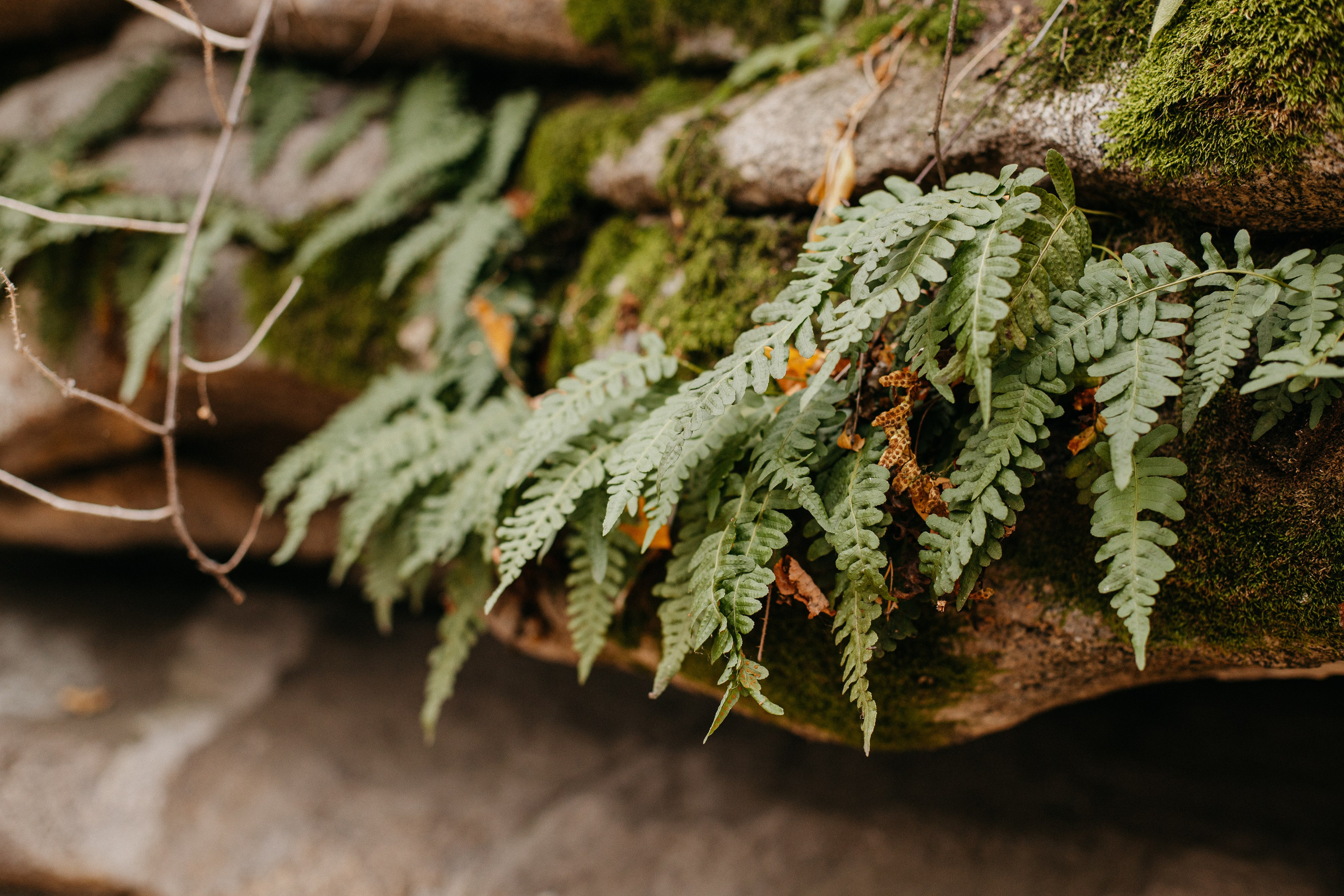 Семь Братьев. Семейный фотограф Трусова Евгения в Екатеринбурге