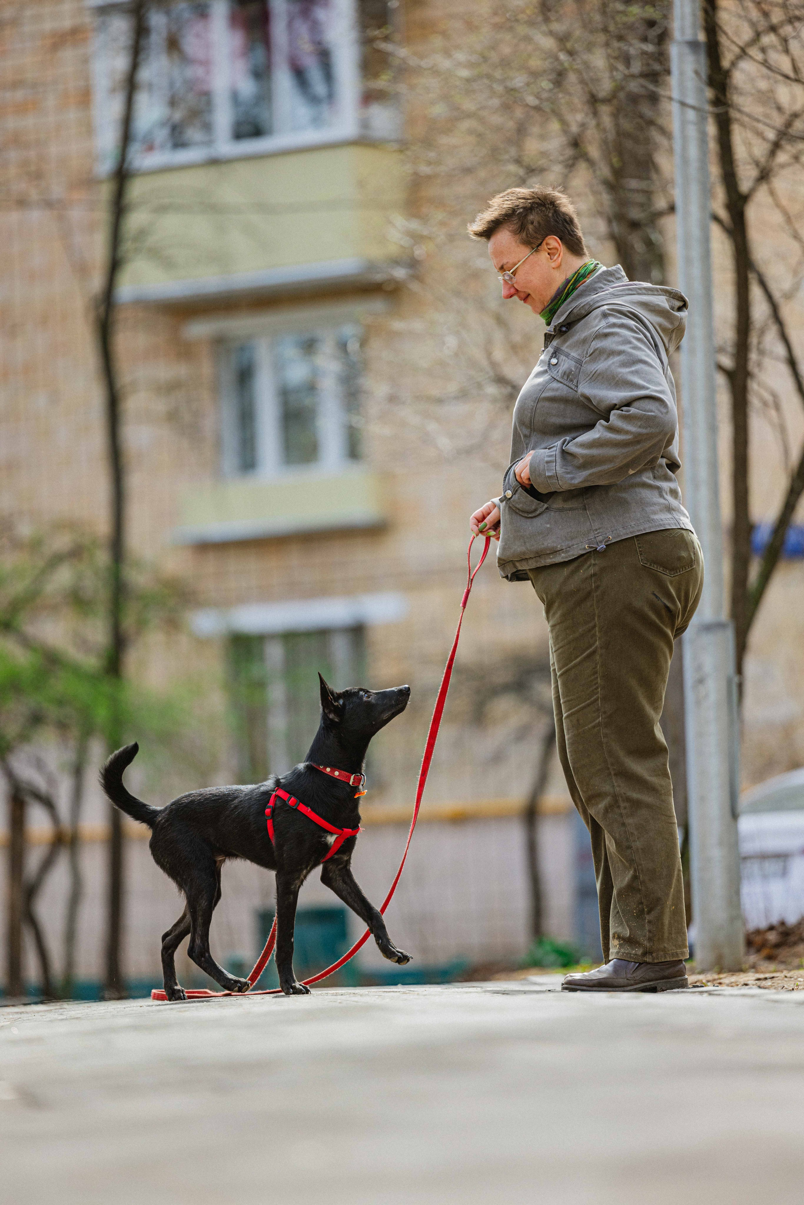 Булька. Фотограф-анималист в Москве Лера Черноног
