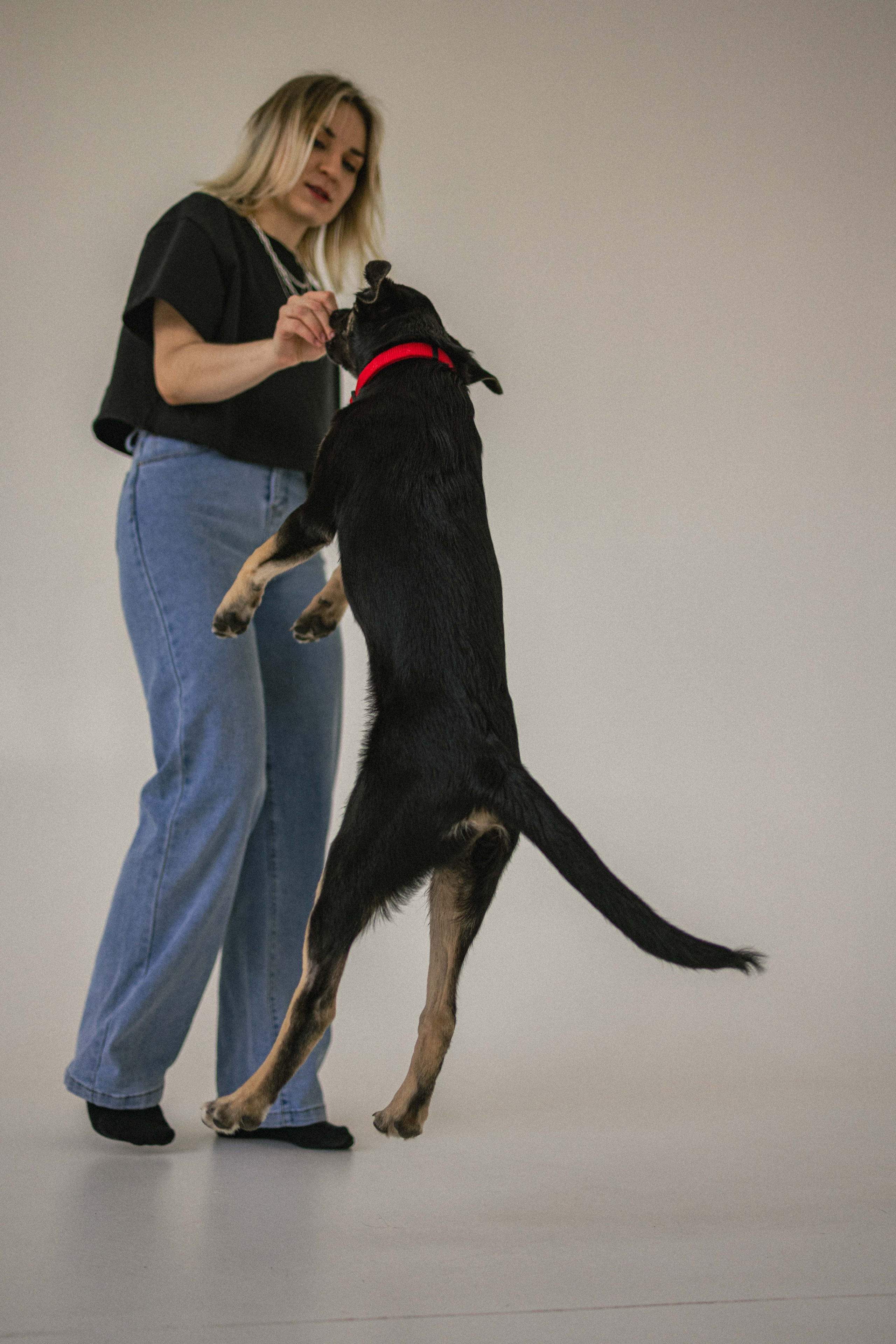 Крис и Тэдди. Фотограф-анималист в Москве Лера Черноног