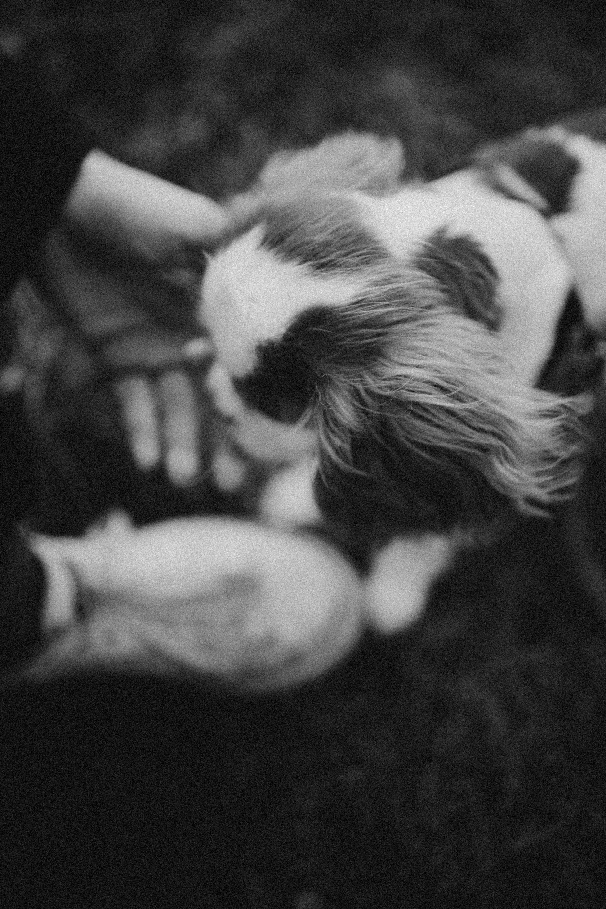 Юля и Кипр. Фотограф-анималист в Москве Лера Черноног